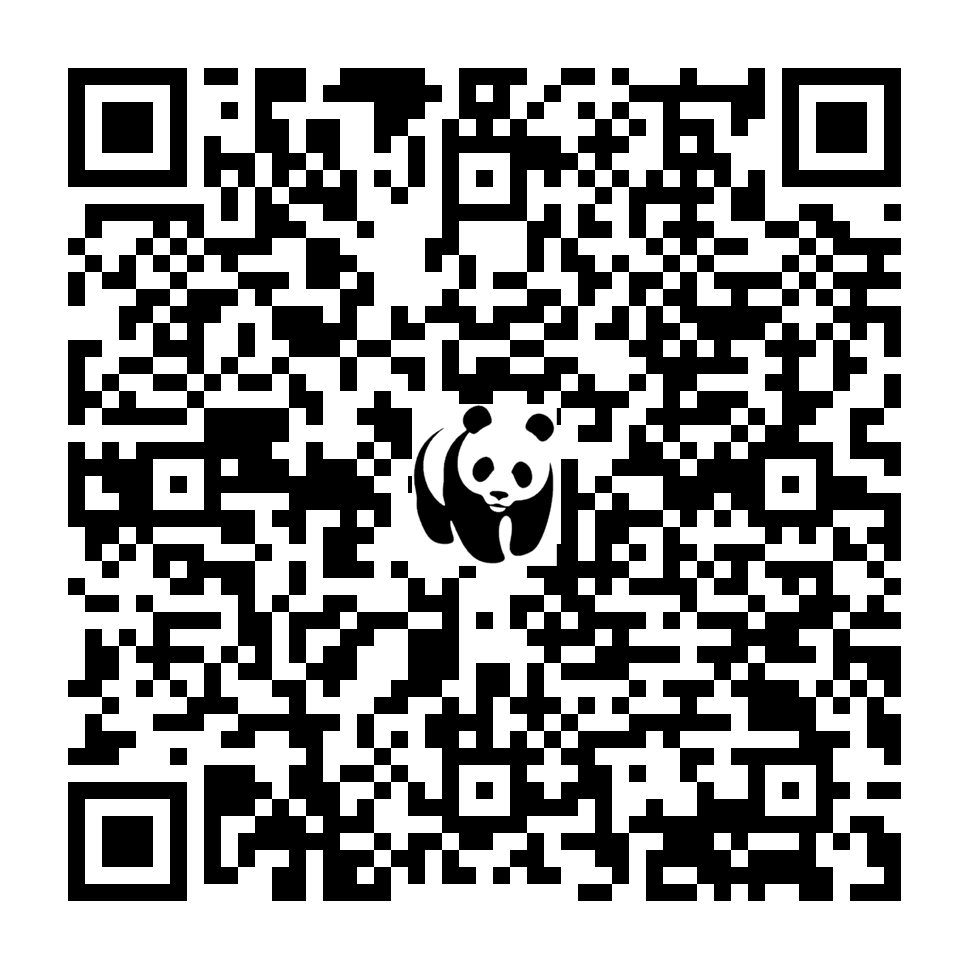 Scan deze QR-code om te doneren (vernieuw de pagina als je geen QR-code ziet)