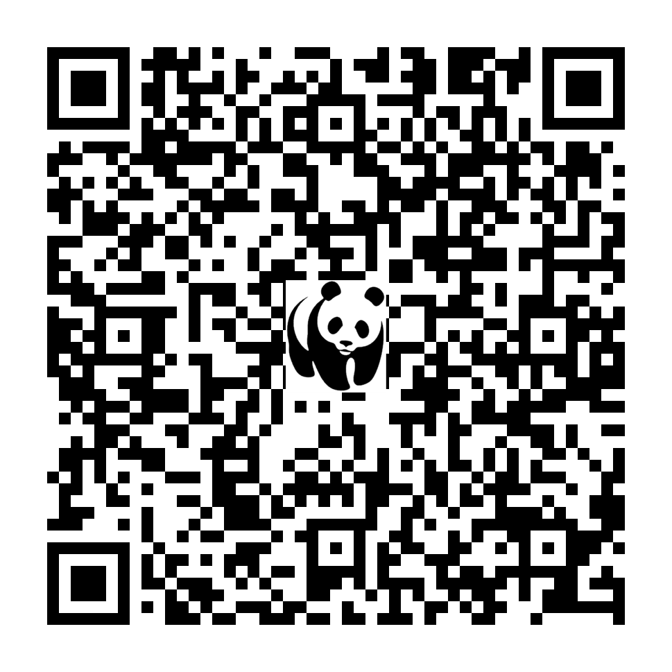 Scan deze QR-code om te doneren (vernieuw de pagina als je geen QR-code ziet)