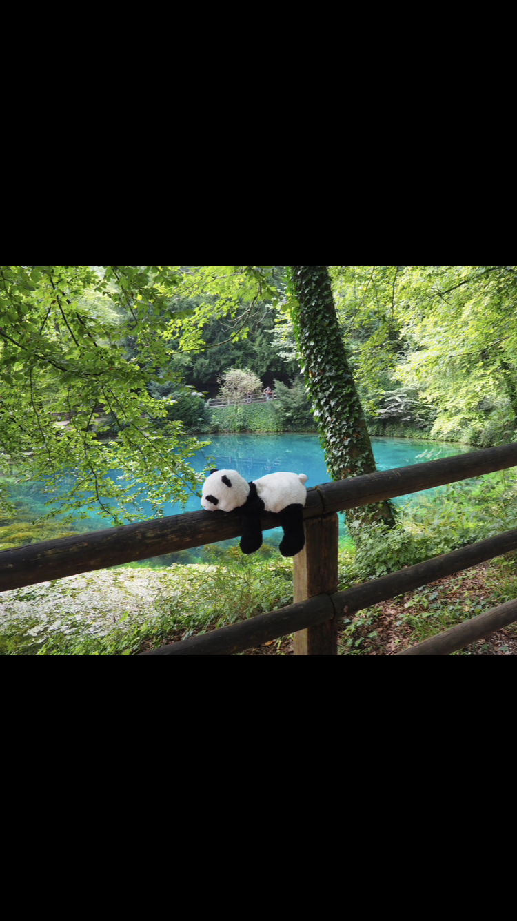 Statiegeld voor schildpad