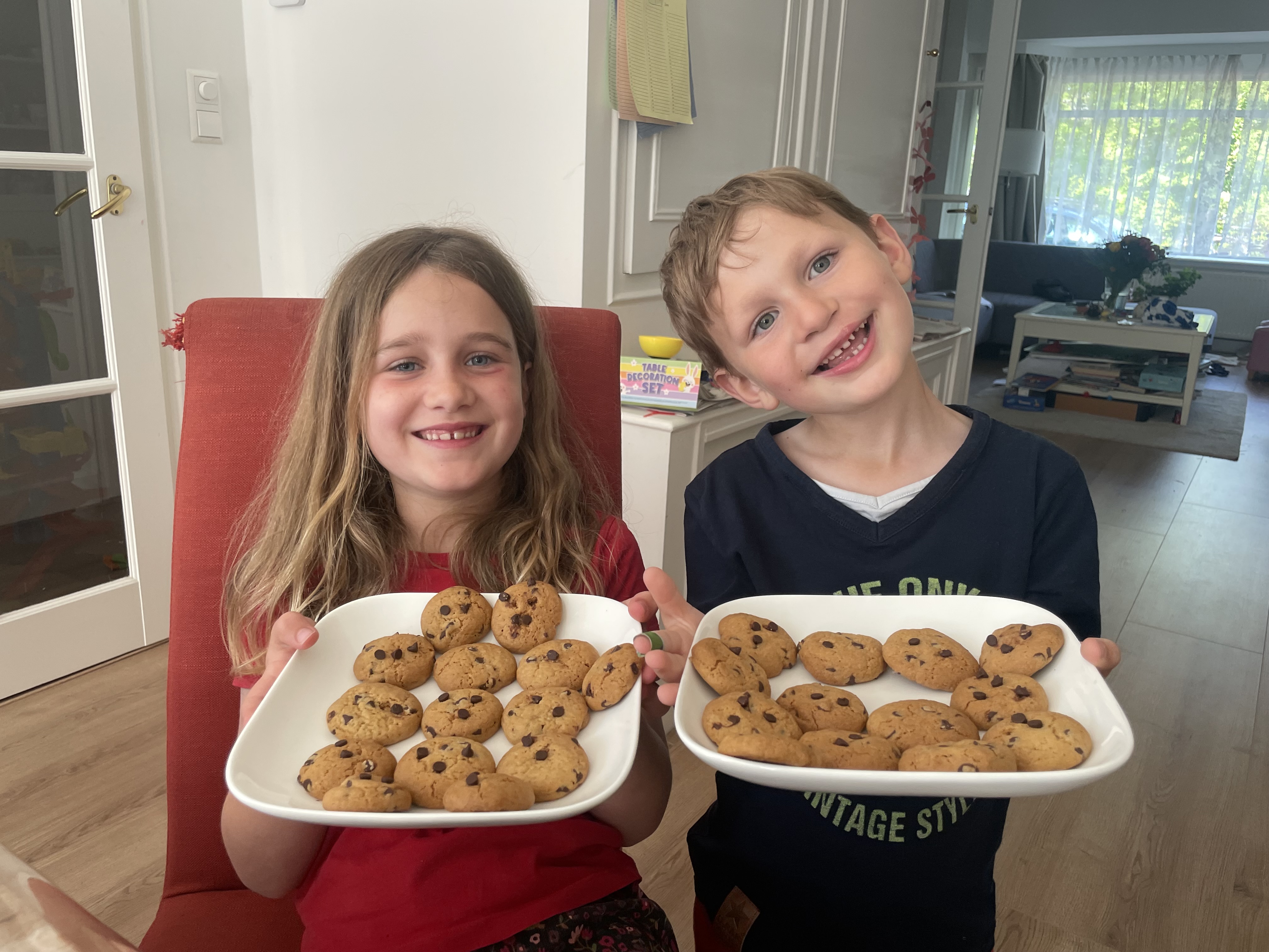 Red de  baby schildpadjes