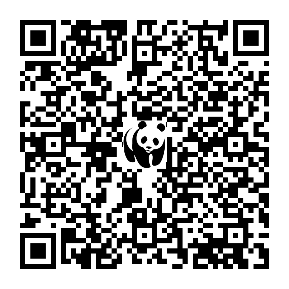 Scan deze QR-code om te doneren (vernieuw de pagina als je geen QR-code ziet)