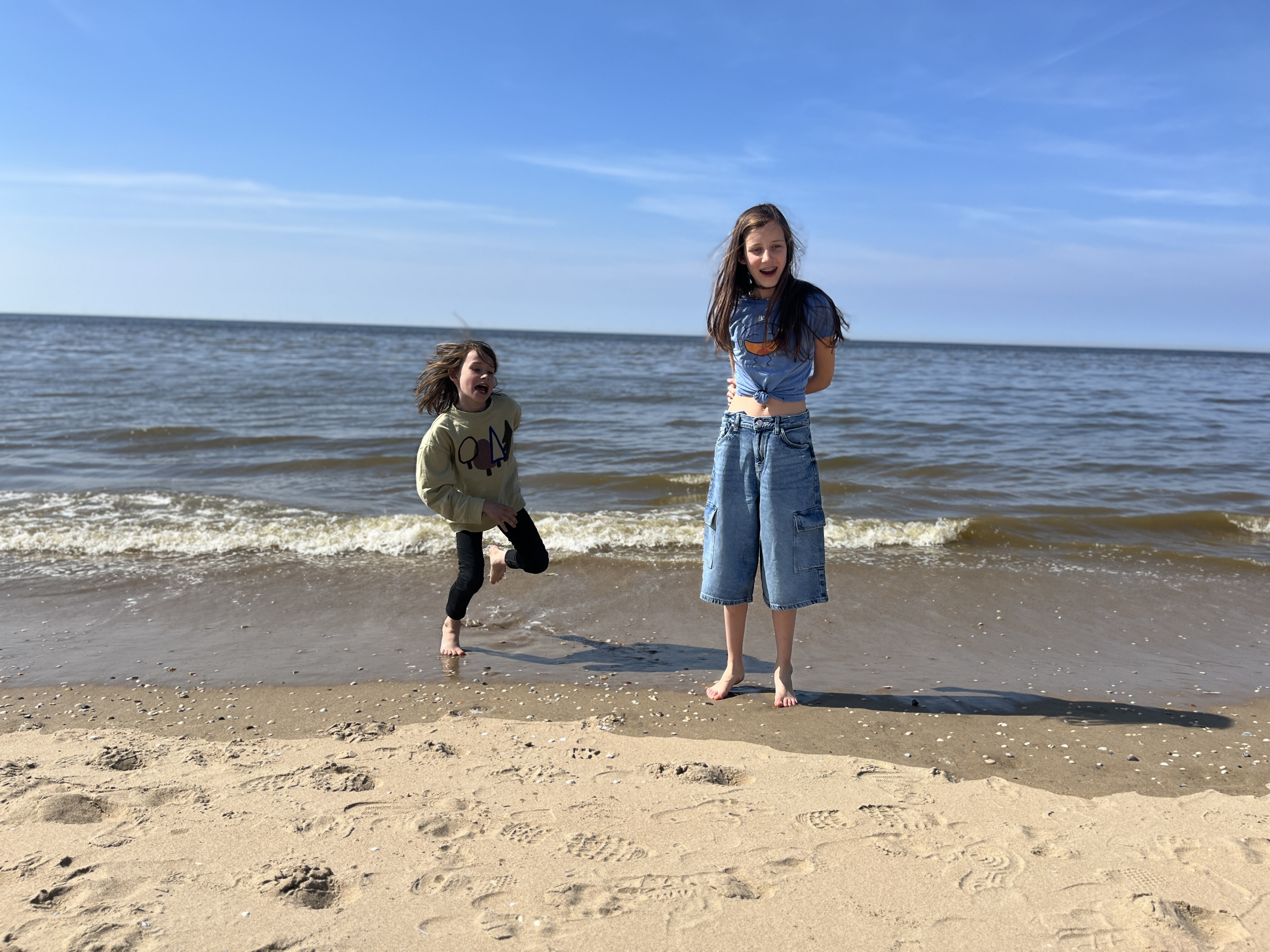 De Schildpaddenredding