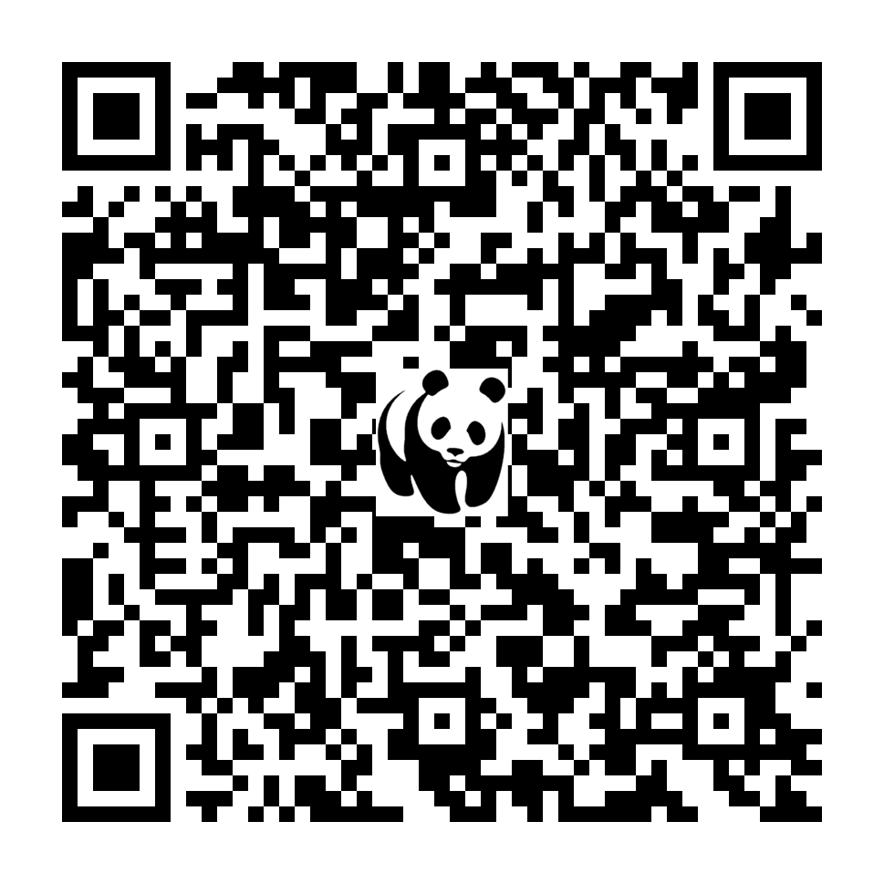 Scan deze QR-code om te doneren (vernieuw de pagina als je geen QR-code ziet)