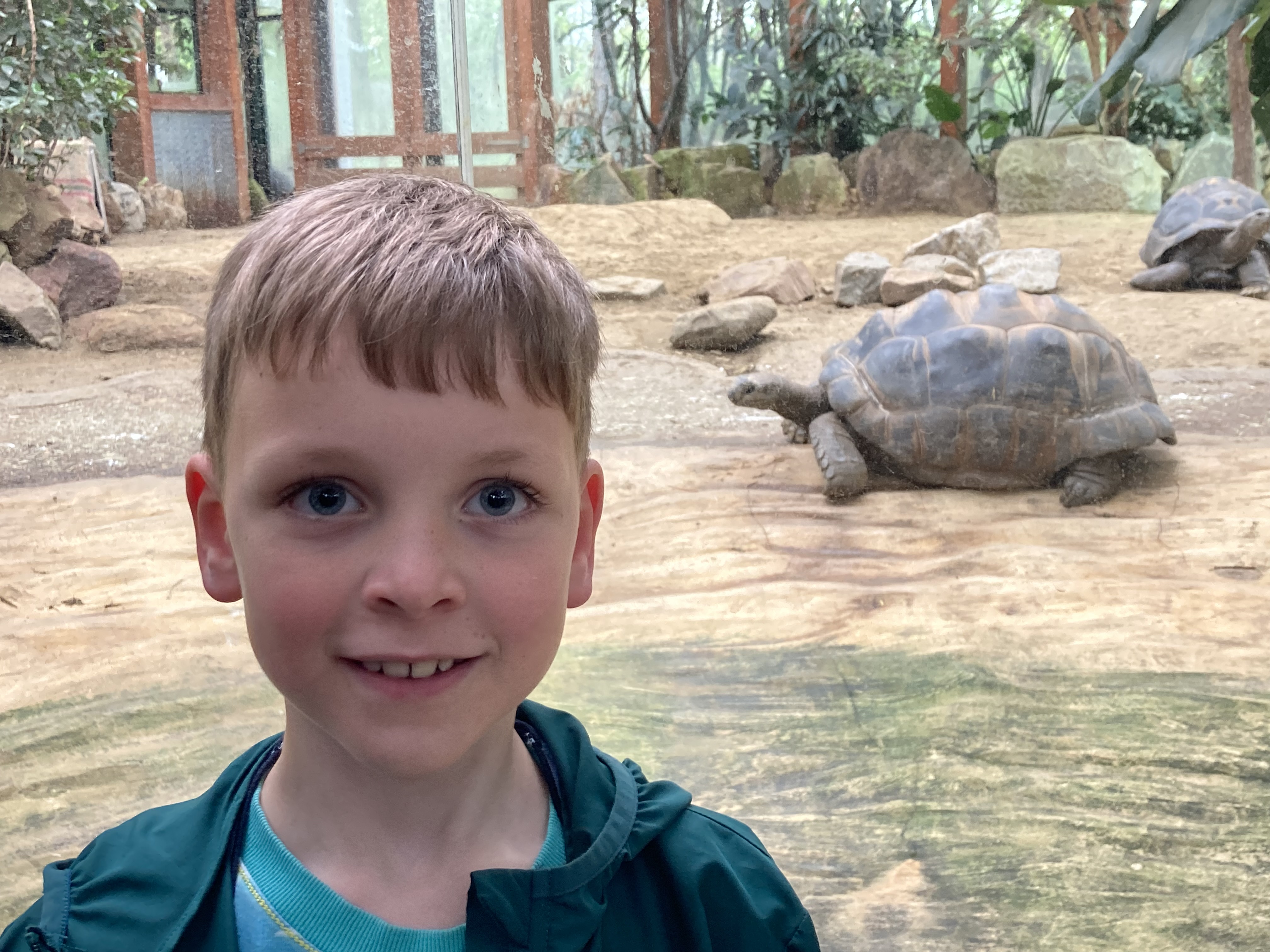 Nils redt schilpadden