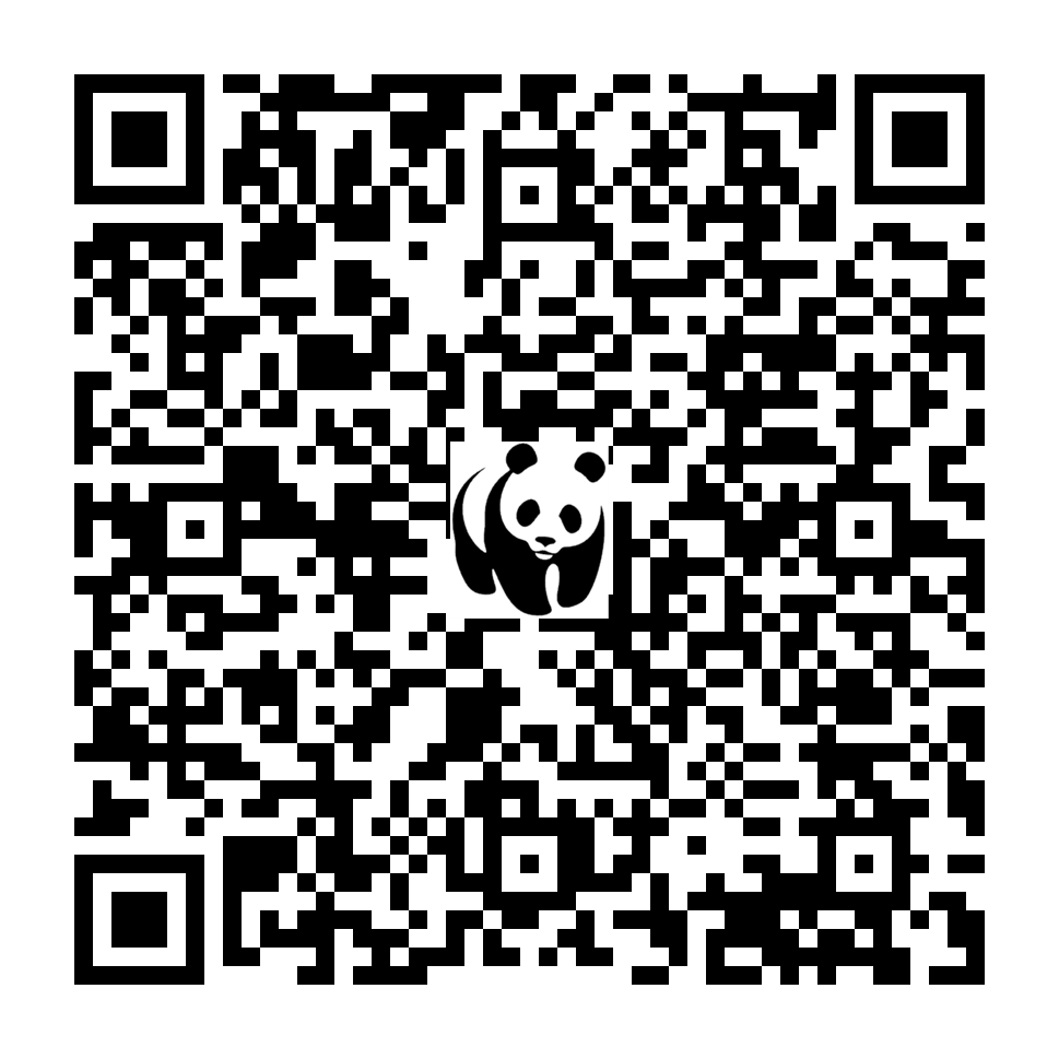 Scan deze QR-code om te doneren (vernieuw de pagina als je geen QR-code ziet)