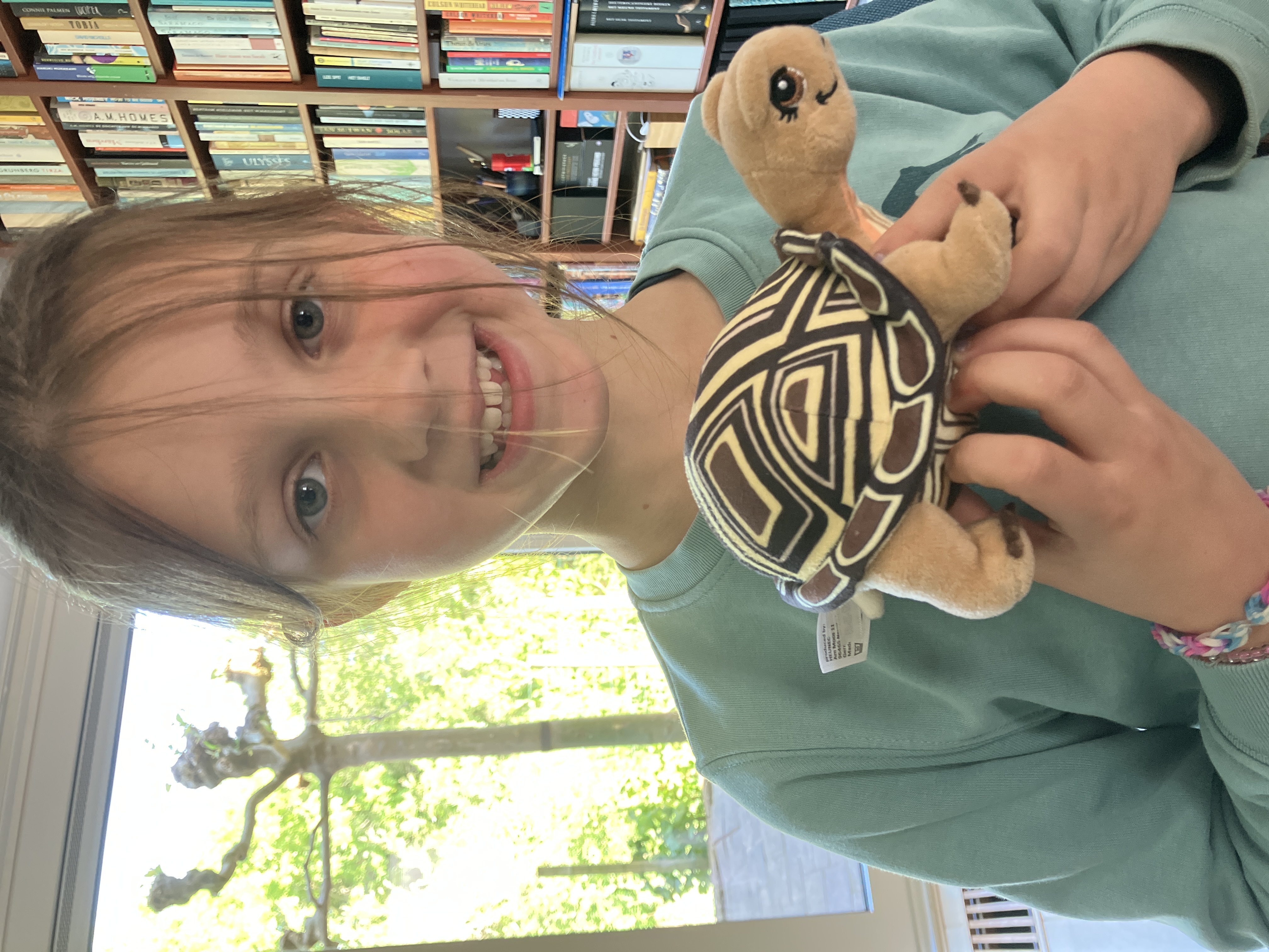 Schilpadbrigade van Juul