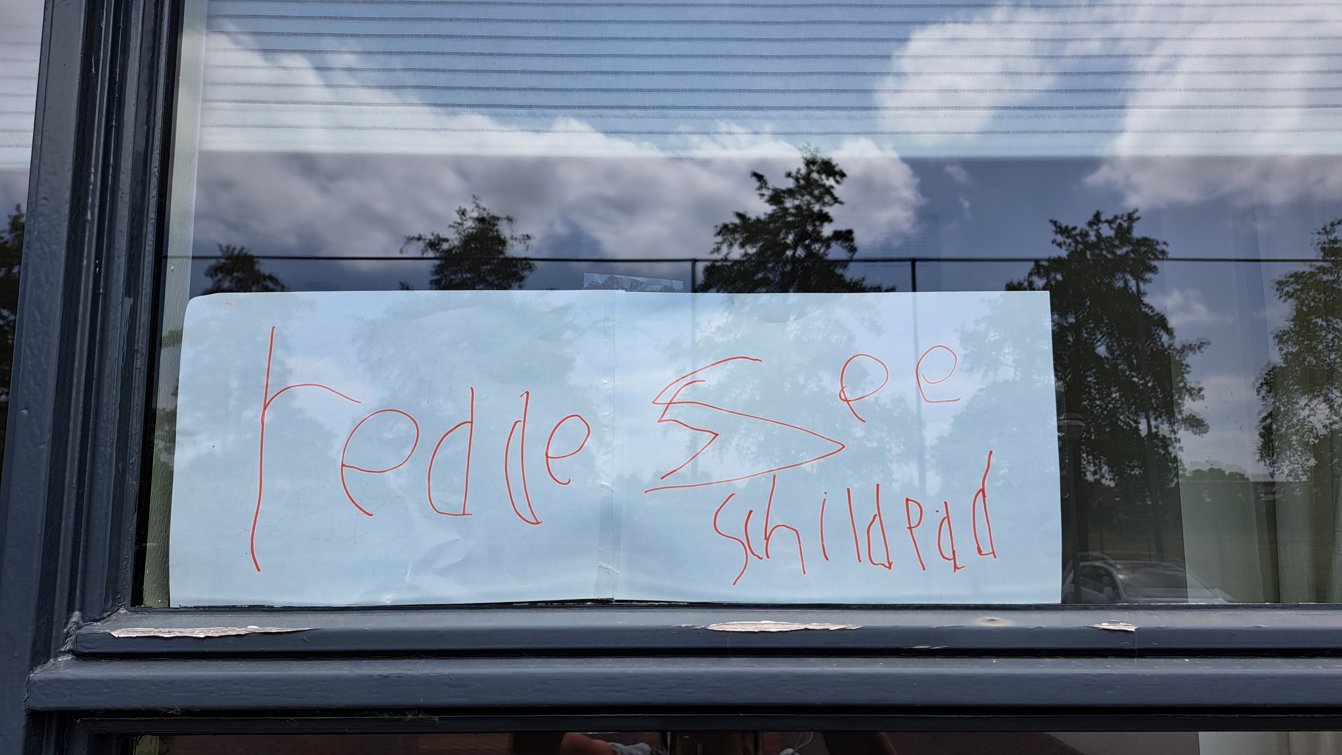 Nu red ik de zeeschildpad