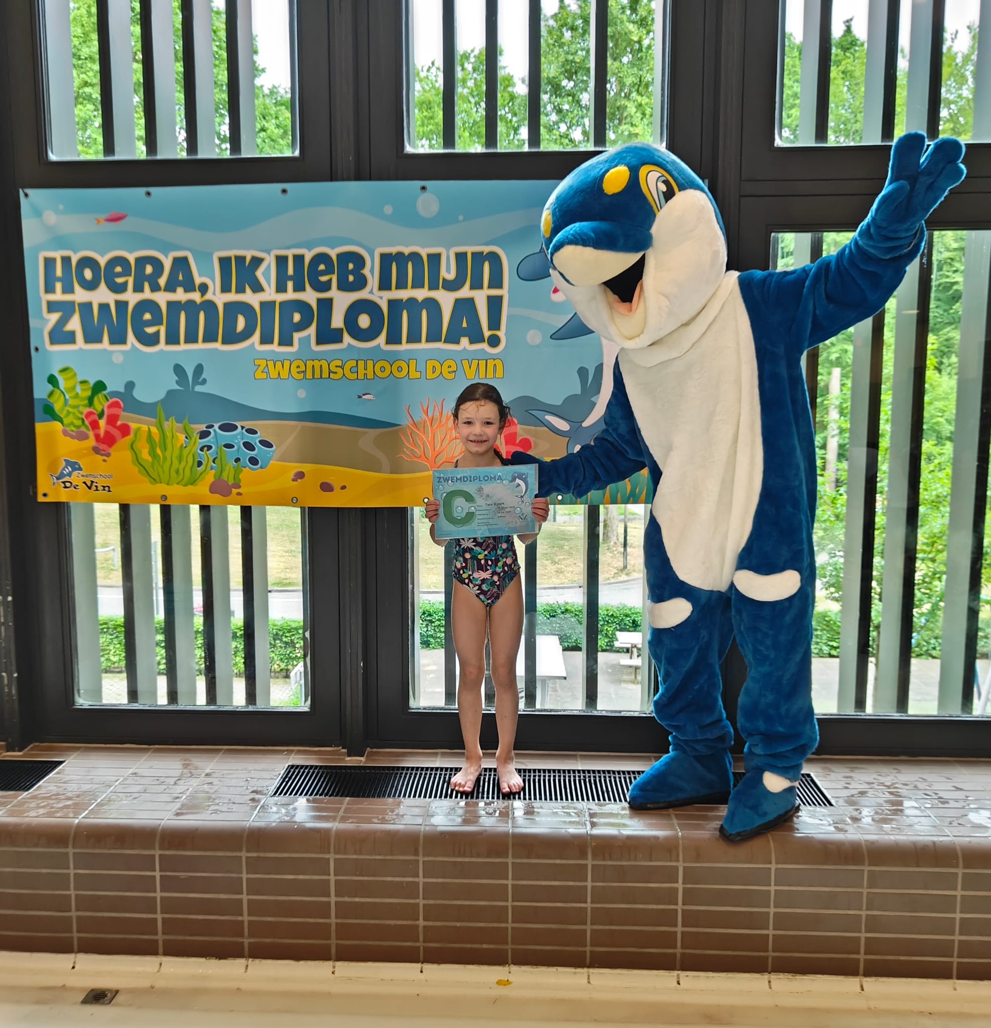 Zwem voor Ceeschildpad