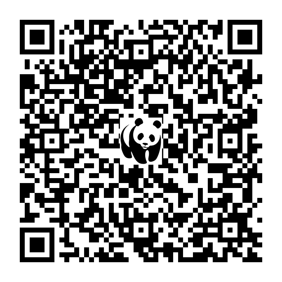 Scan deze QR-code om te doneren (vernieuw de pagina als je geen QR-code ziet)