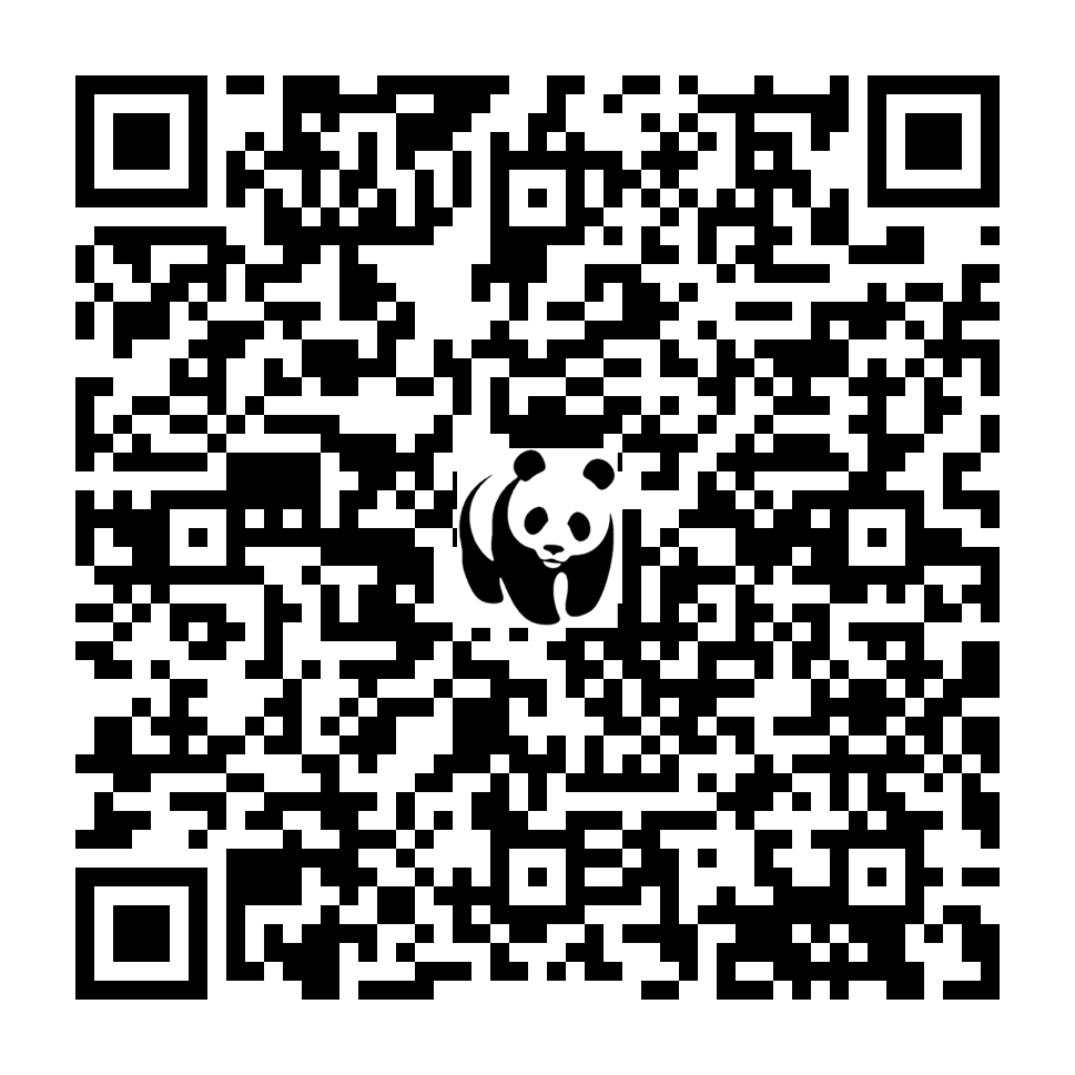 Scan deze QR-code om te doneren (vernieuw de pagina als je geen QR-code ziet)