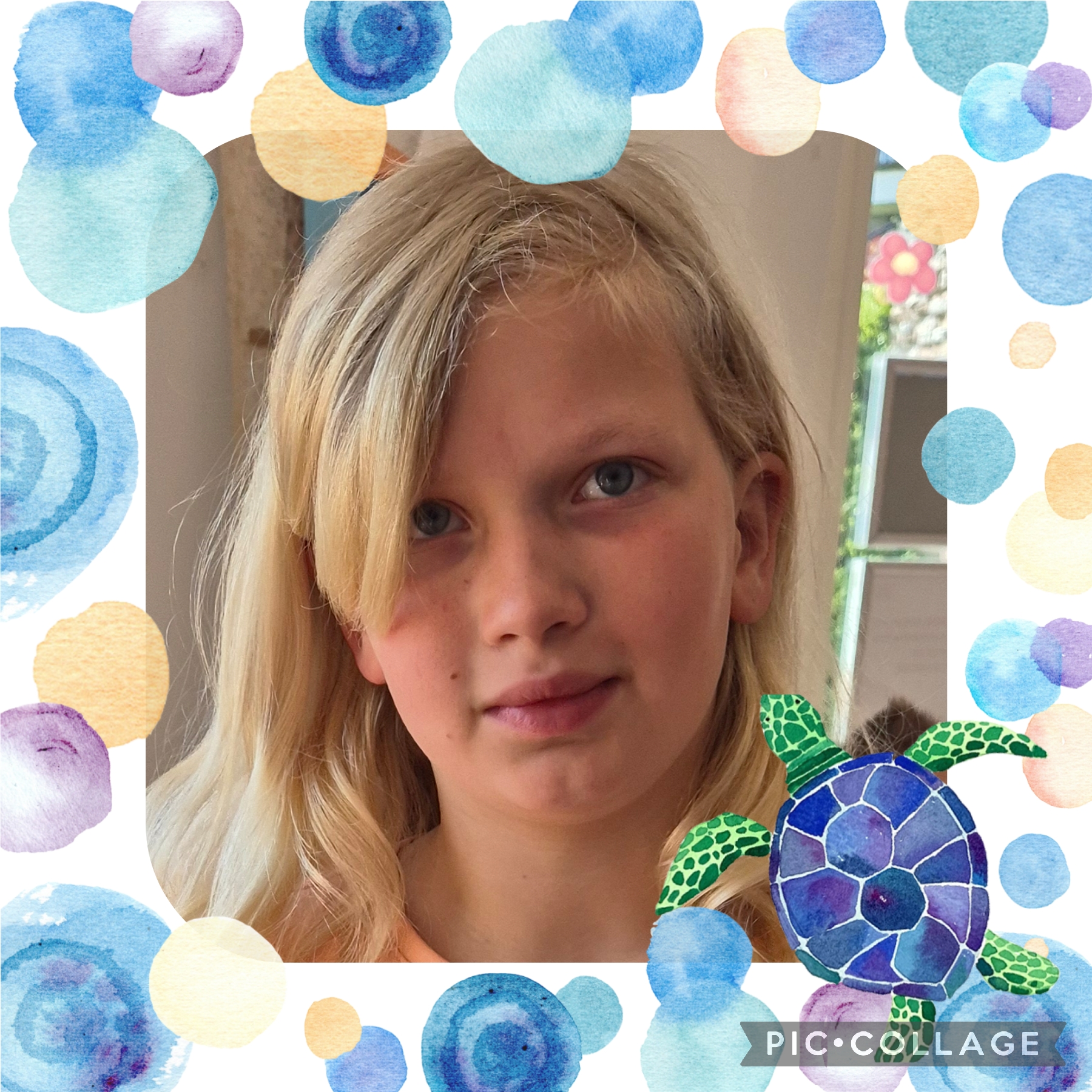 Red de zeeschildpadden 