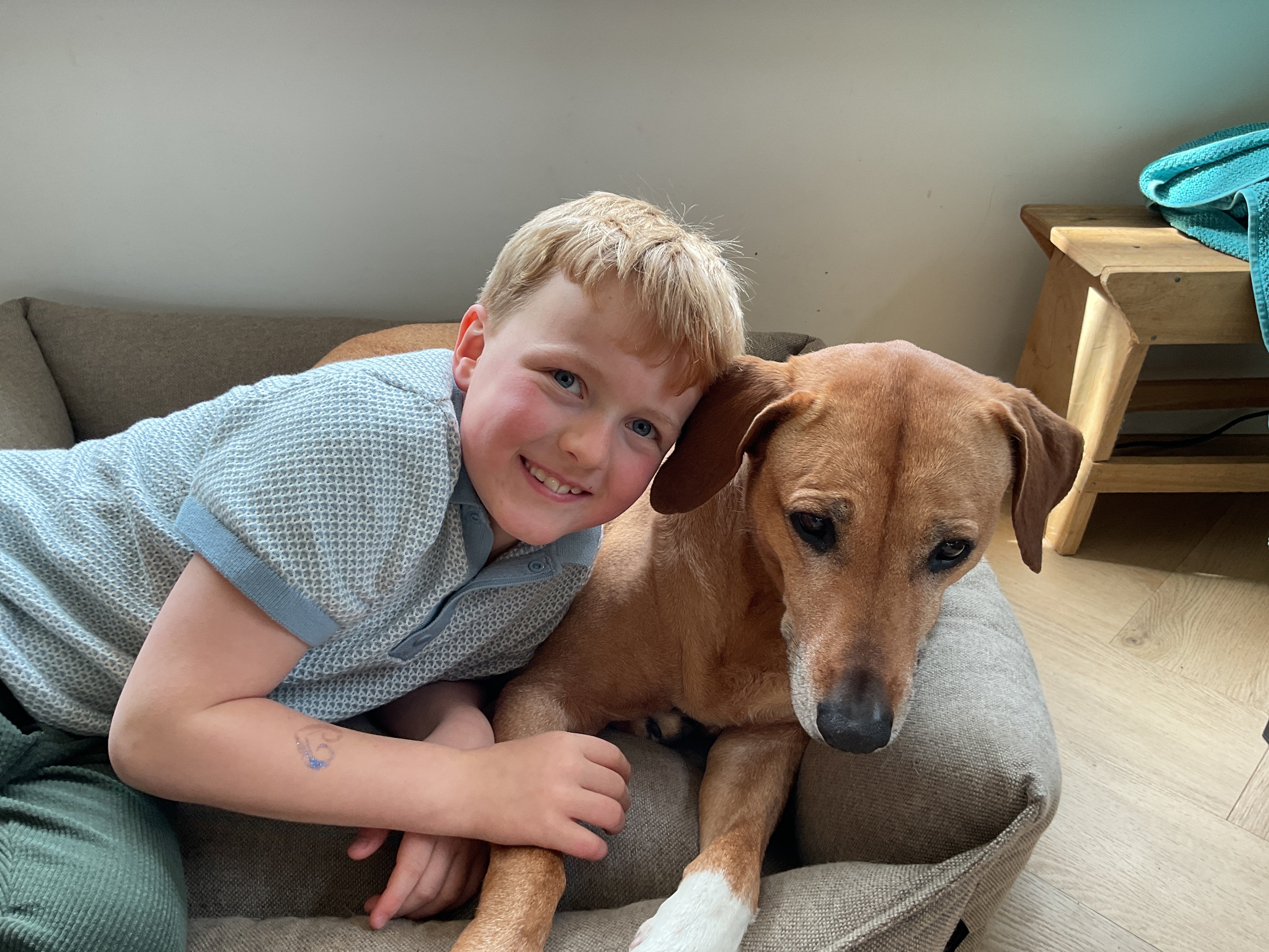 Cheetah helpt de olifant