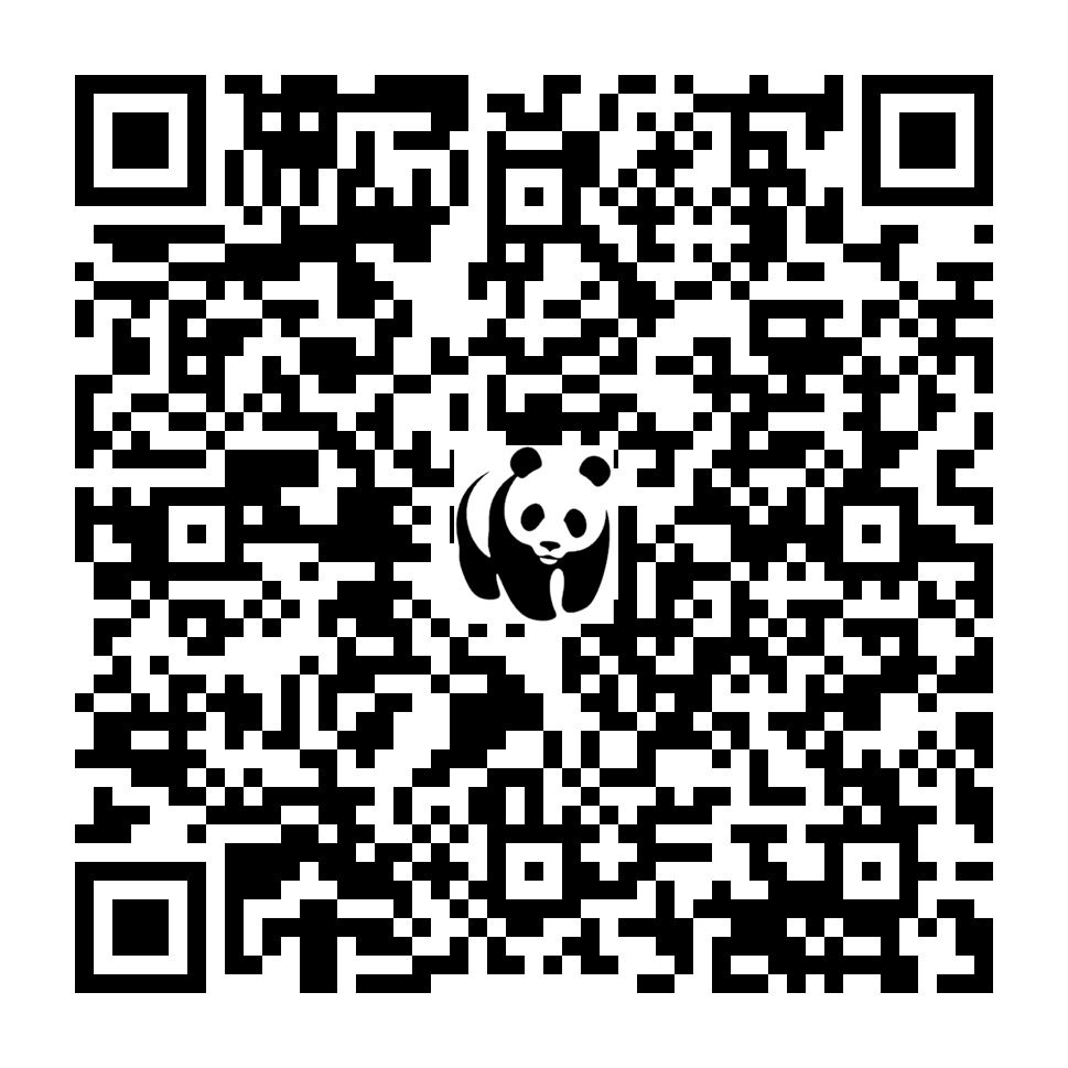 Scan deze QR-code om te doneren (vernieuw de pagina als je geen QR-code ziet)
