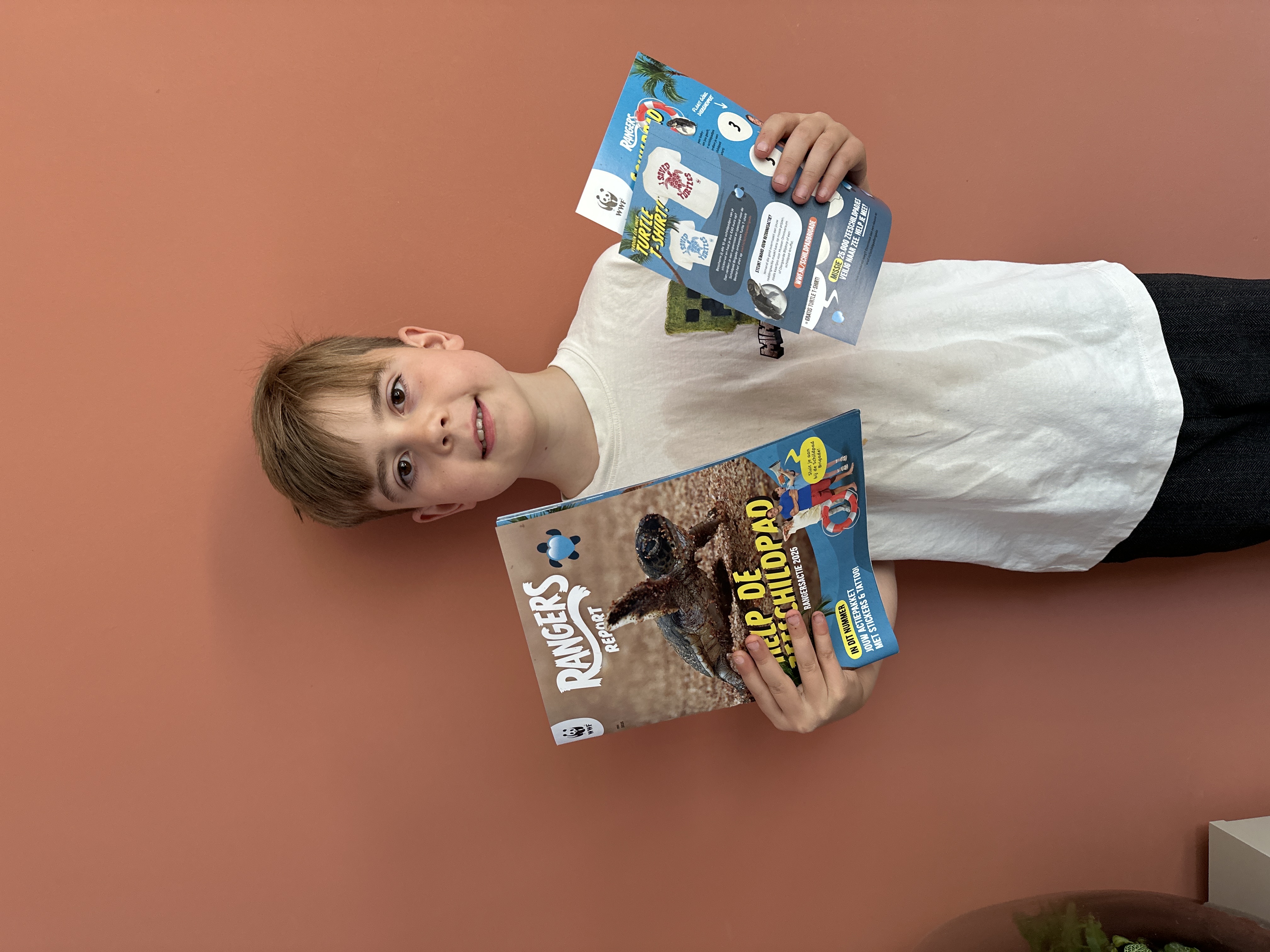 Noel voor zeeschildpadjes