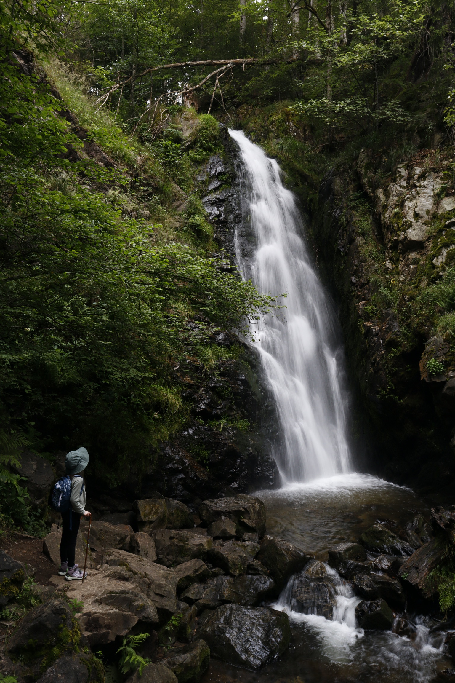 Red de zeeschildpadden