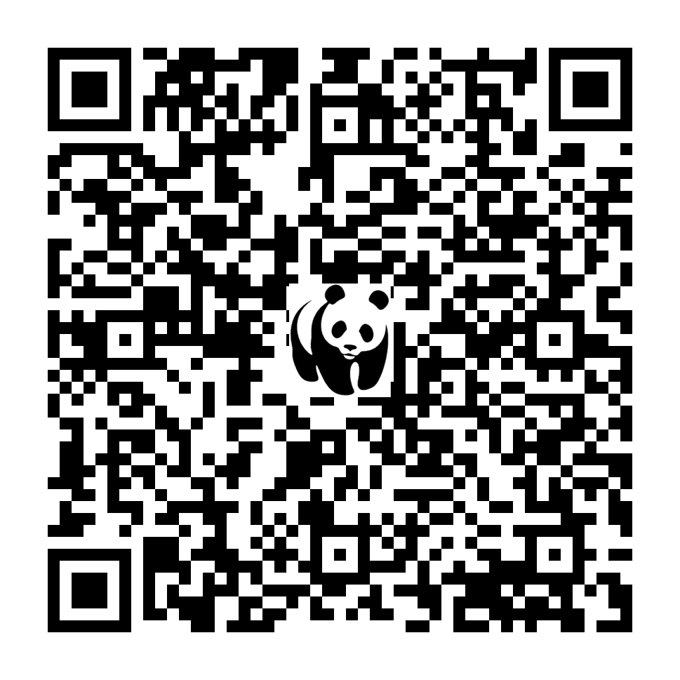 Scan deze QR-code om te doneren (vernieuw de pagina als je geen QR-code ziet)
