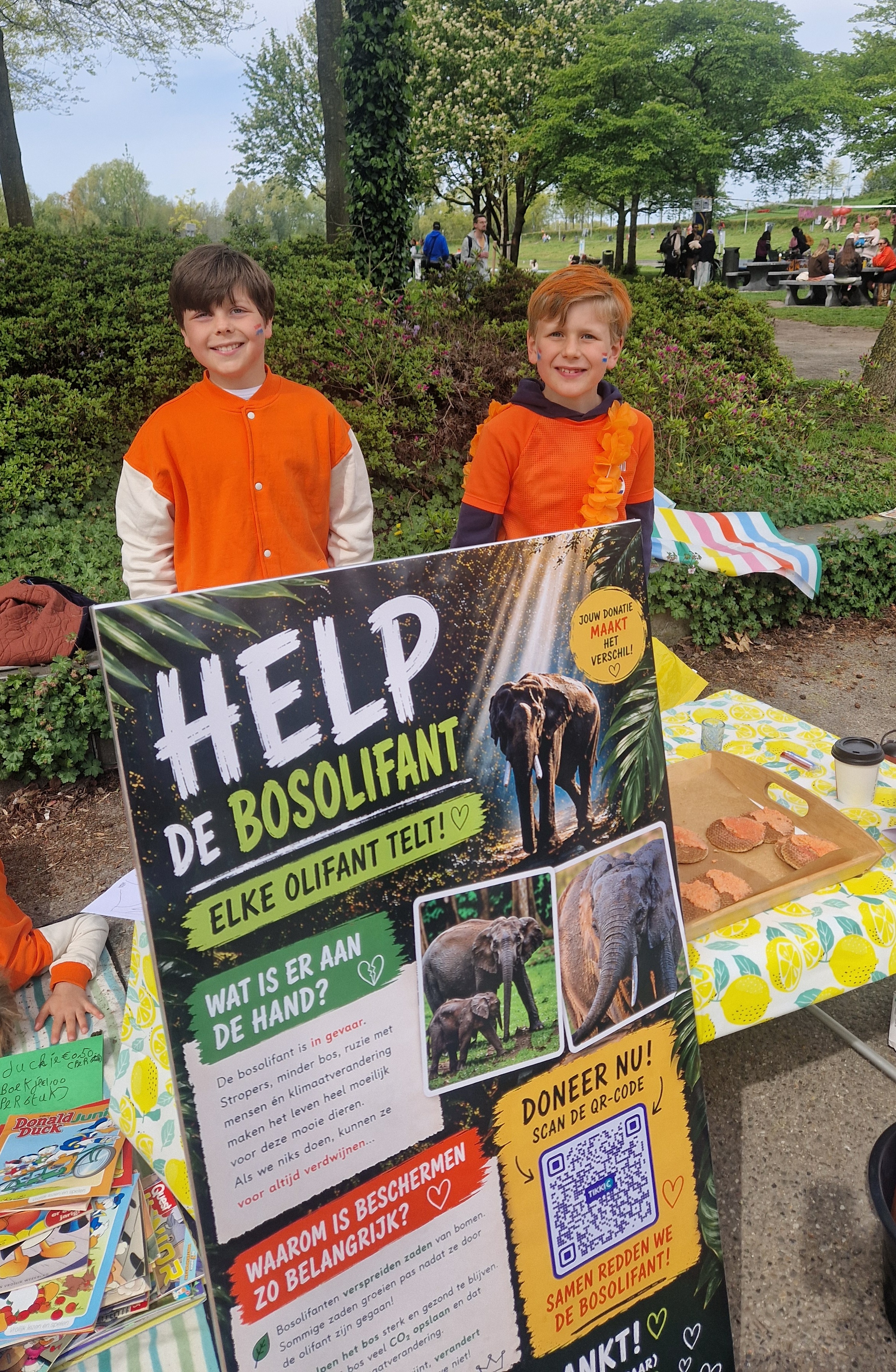 Samen voor de bosolifant