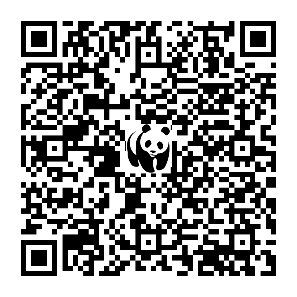 Scan deze QR-code om te doneren (vernieuw de pagina als je geen QR-code ziet)
