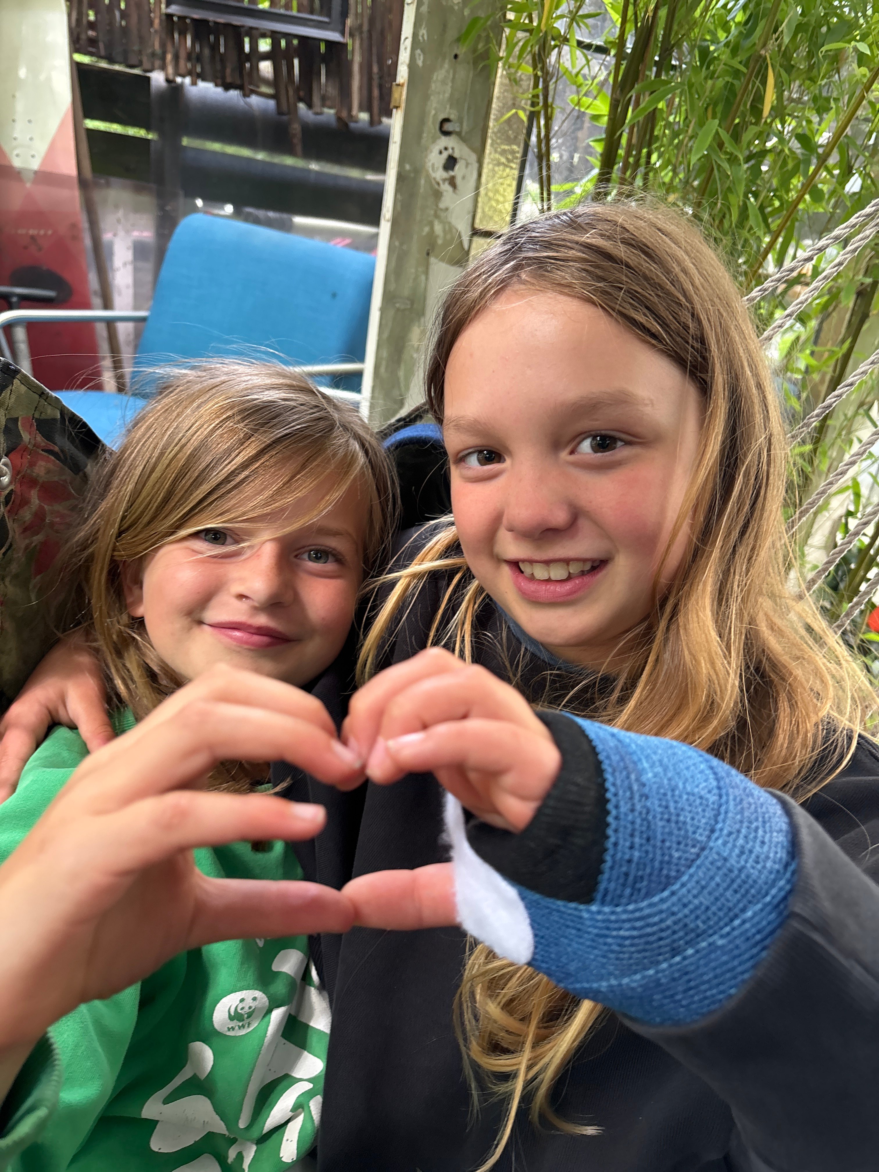 Help de Zeeschildpad 