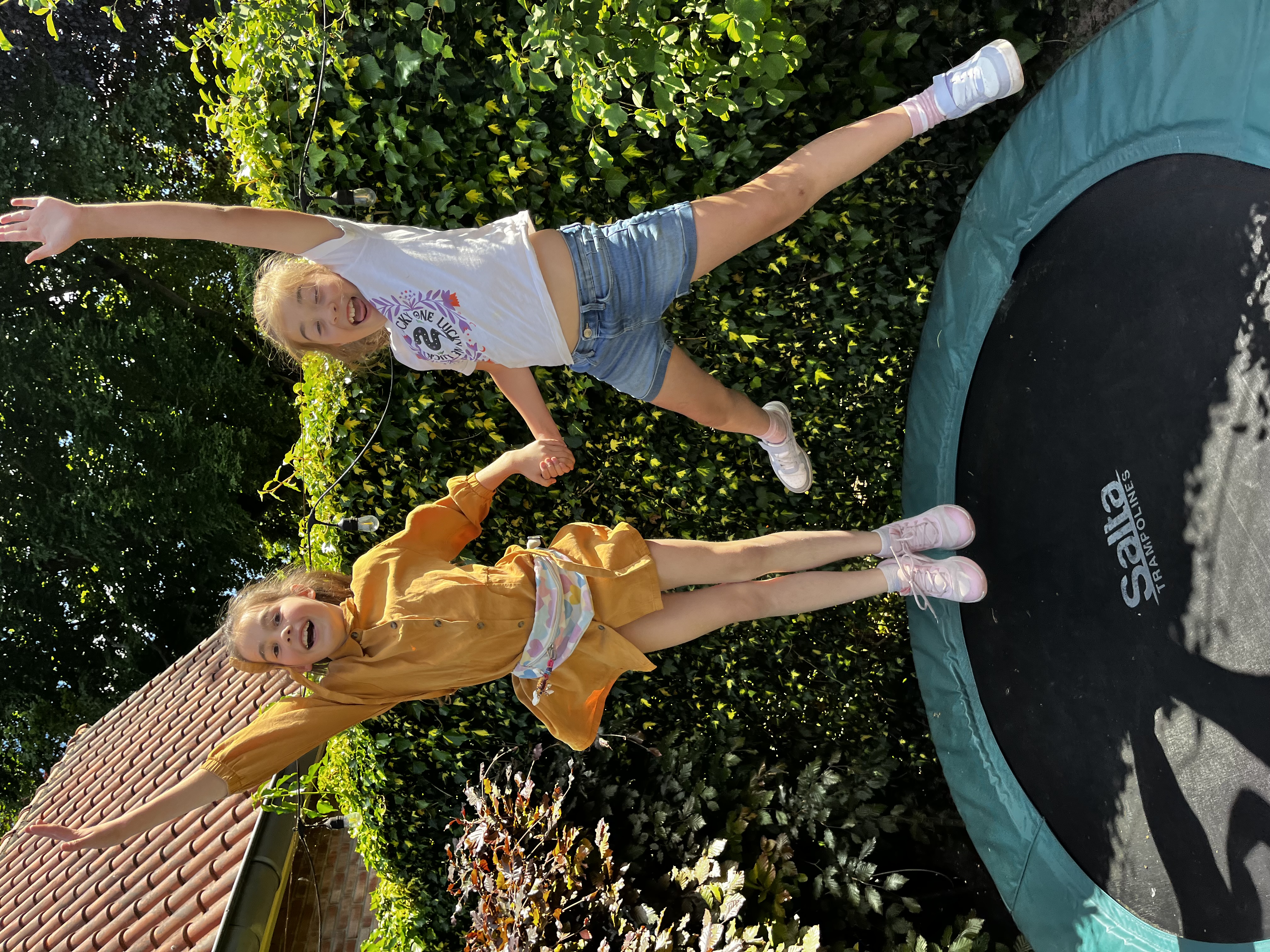 Red de zeeschildpadden 