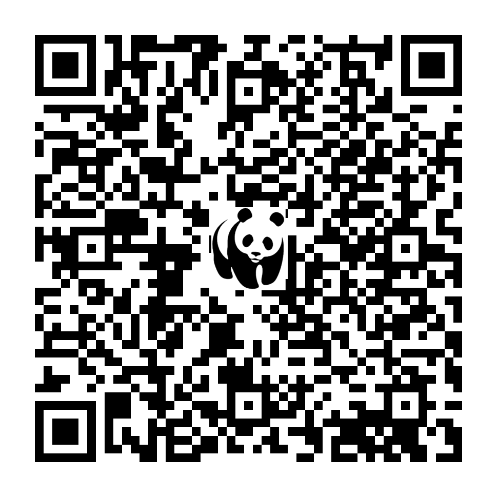 Scan deze QR-code om te doneren (vernieuw de pagina als je geen QR-code ziet)