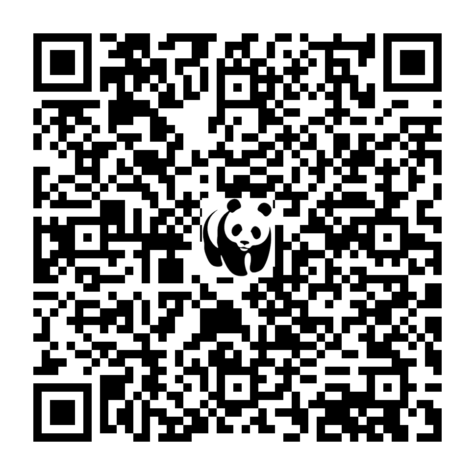 Scan deze QR-code om te doneren (vernieuw de pagina als je geen QR-code ziet)