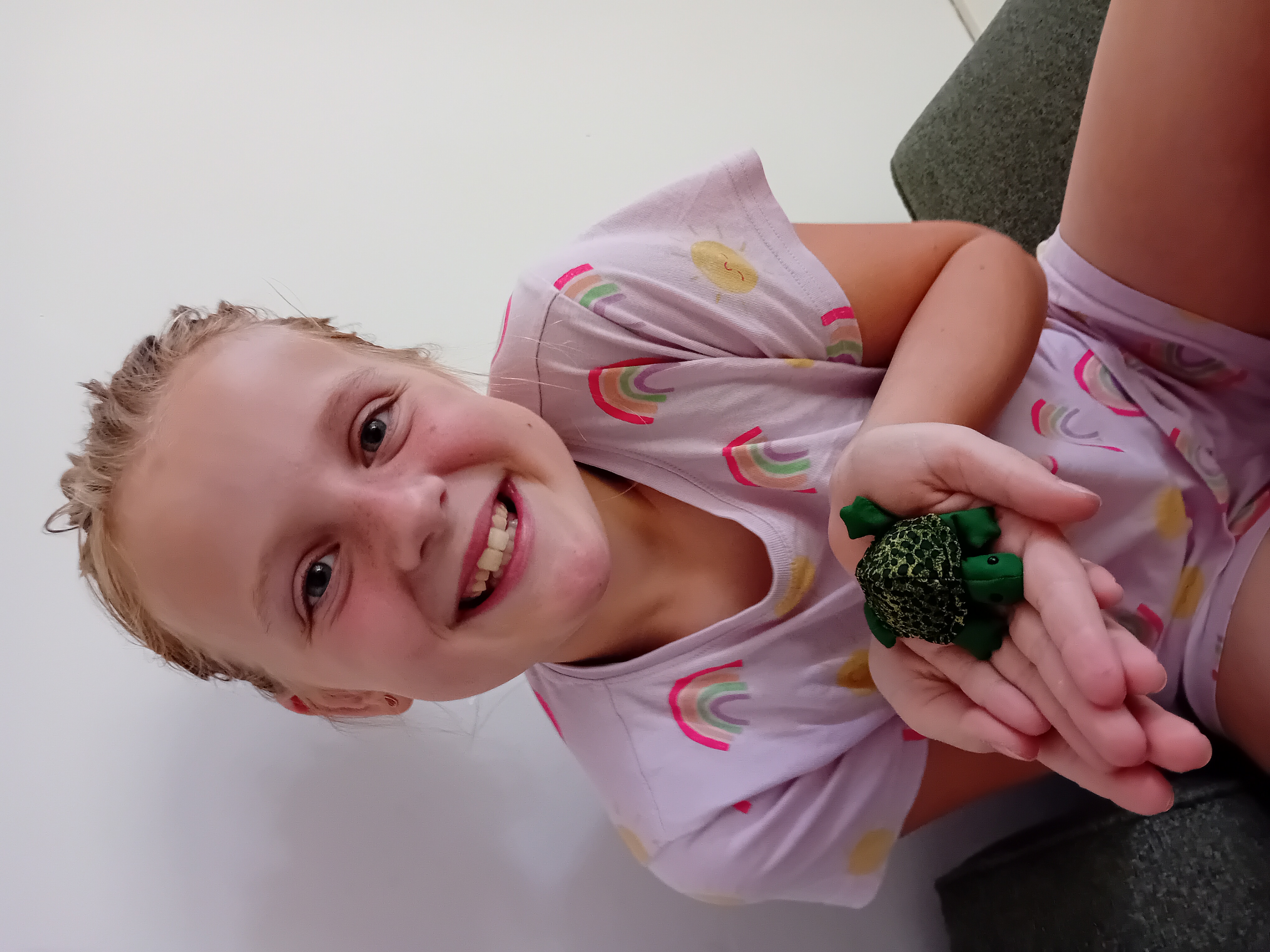 De Armbandjesbrigade 