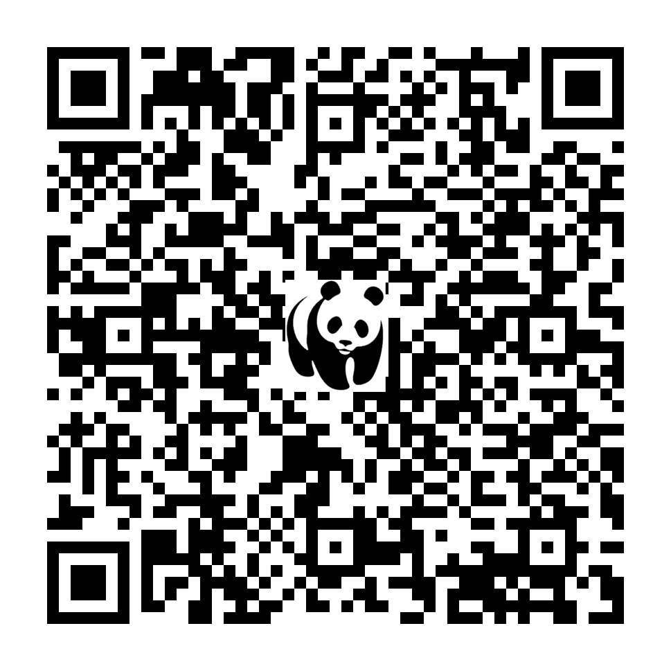 Scan deze QR-code om te doneren (vernieuw de pagina als je geen QR-code ziet)
