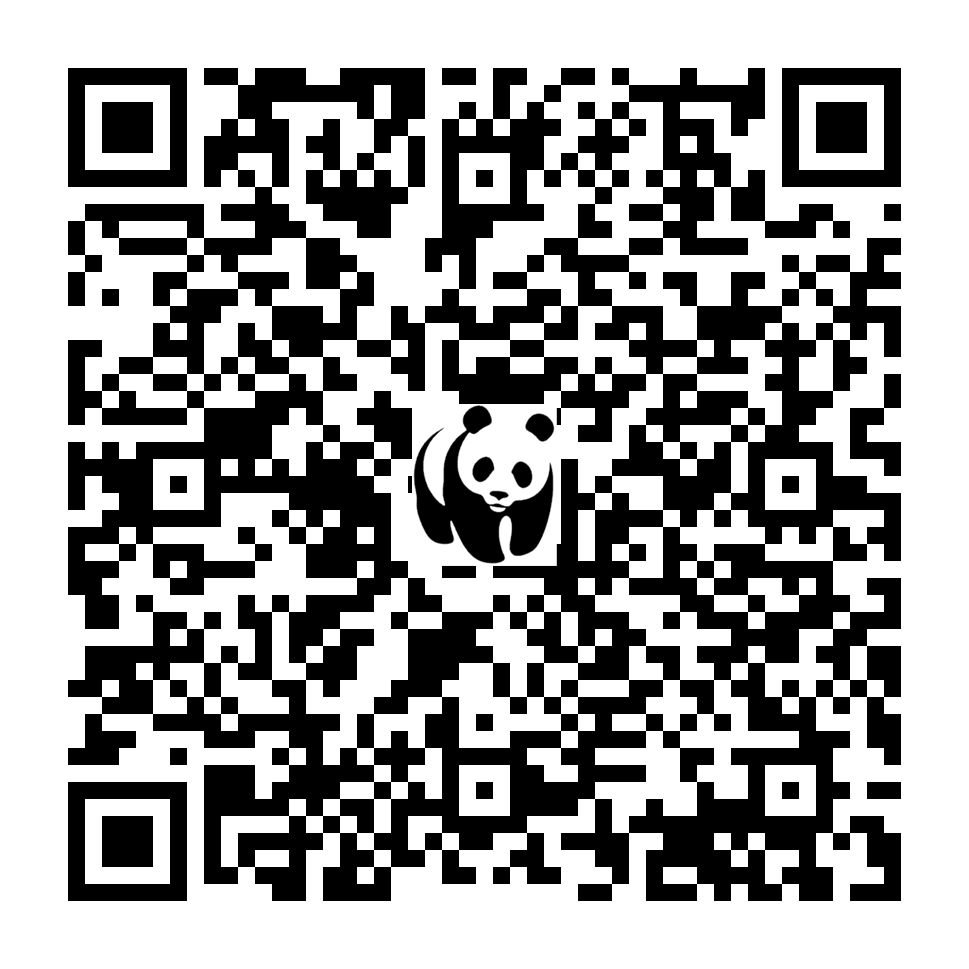 Scan deze QR-code om te doneren (vernieuw de pagina als je geen QR-code ziet)