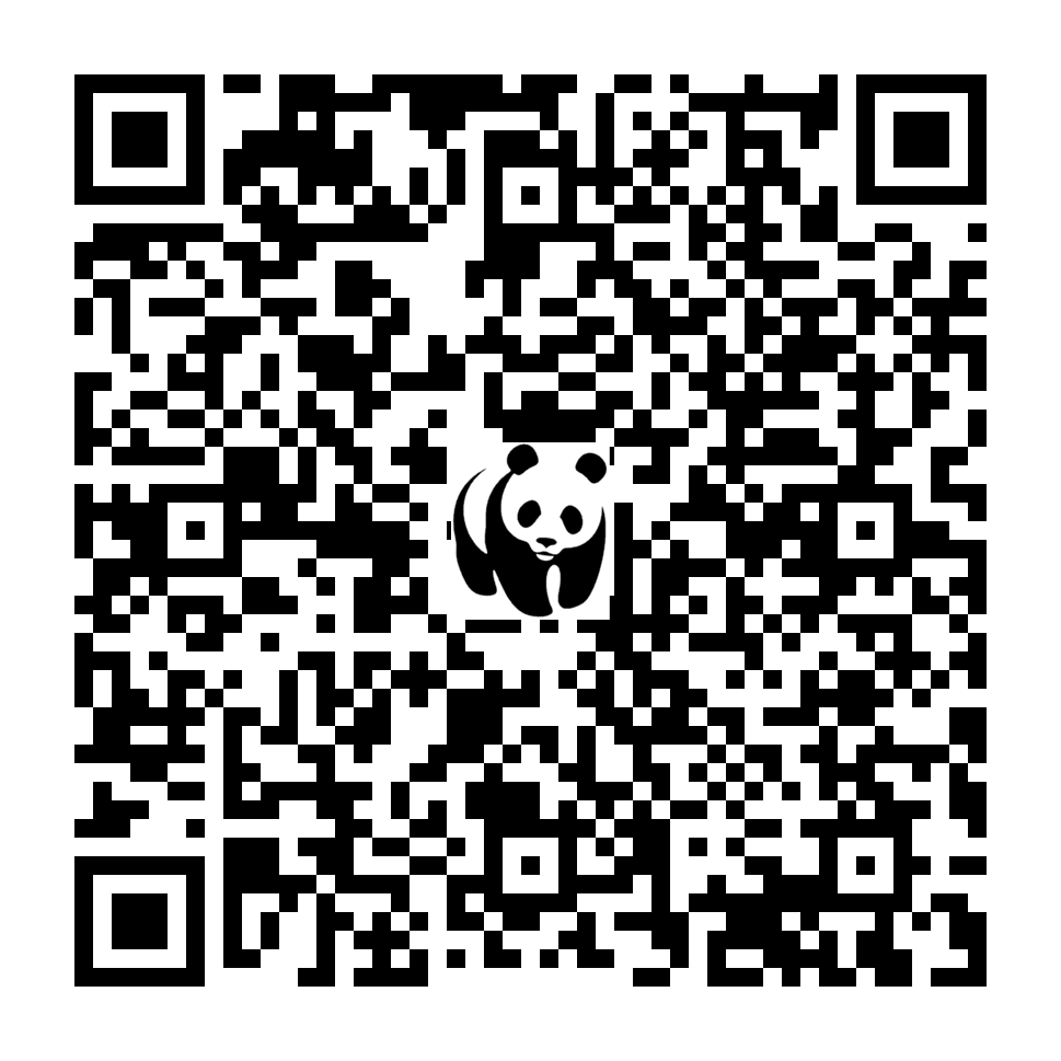 Scan deze QR-code om te doneren (vernieuw de pagina als je geen QR-code ziet)