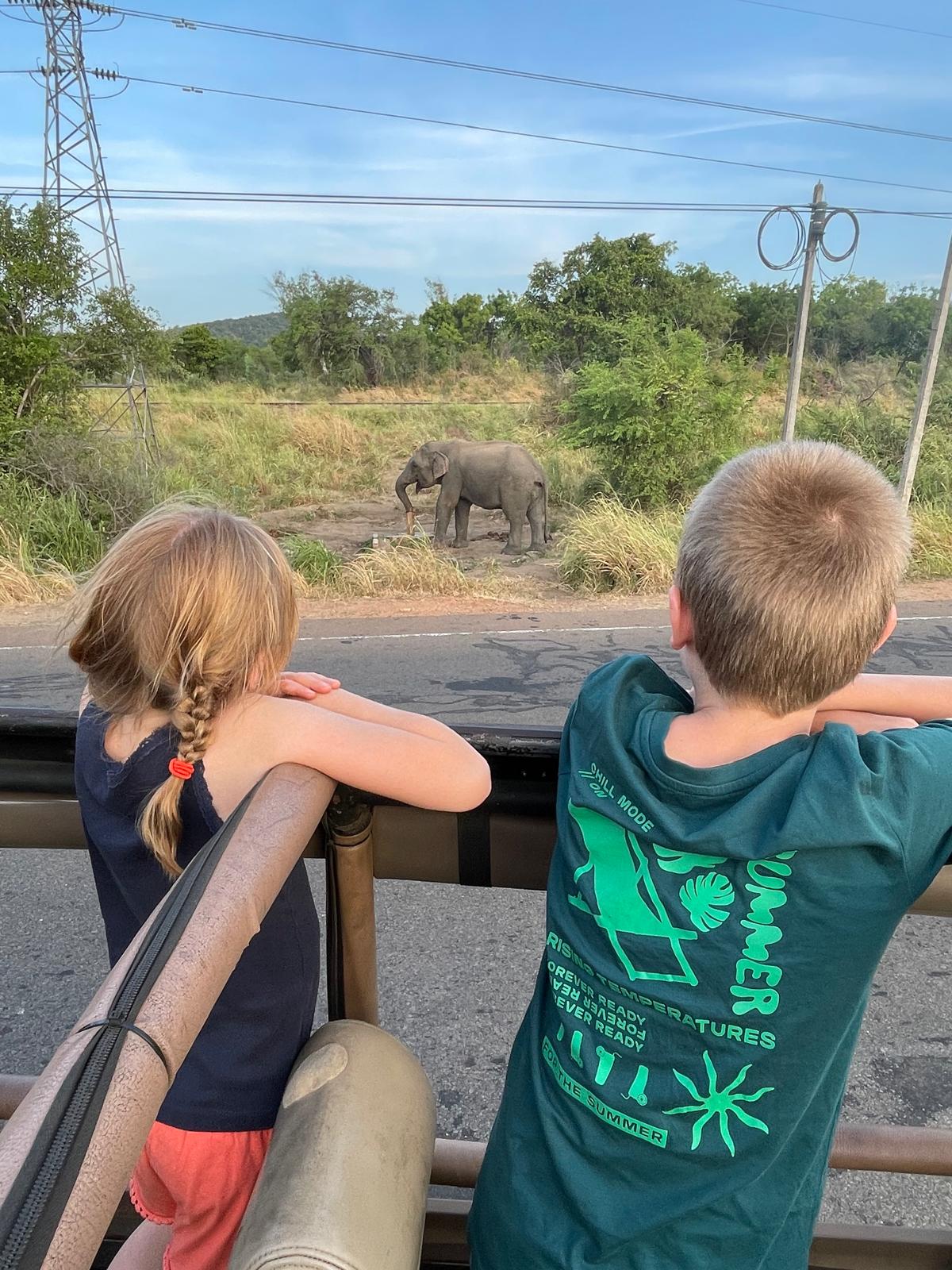 Mara voor de olifant