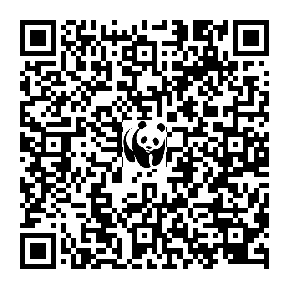 Scan deze QR-code om te doneren (vernieuw de pagina als je geen QR-code ziet)
