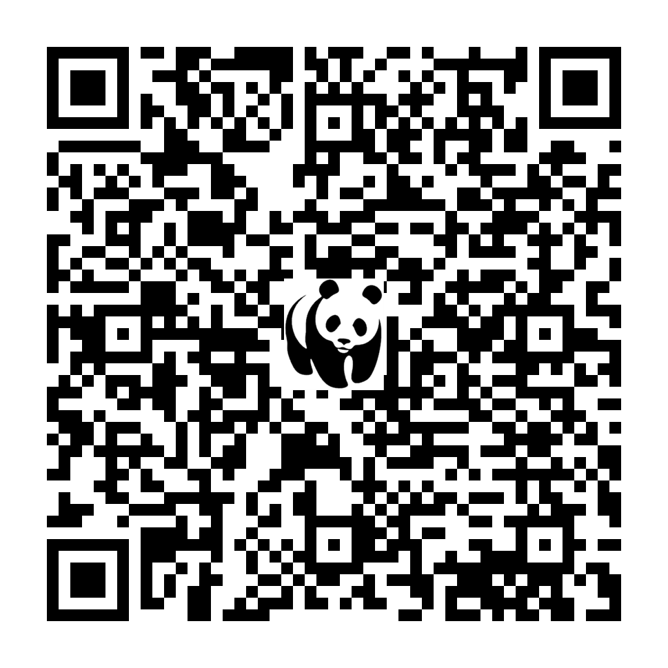 Scan deze QR-code om te doneren (vernieuw de pagina als je geen QR-code ziet)
