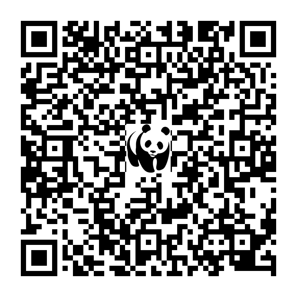 Scan deze QR-code om te doneren (vernieuw de pagina als je geen QR-code ziet)