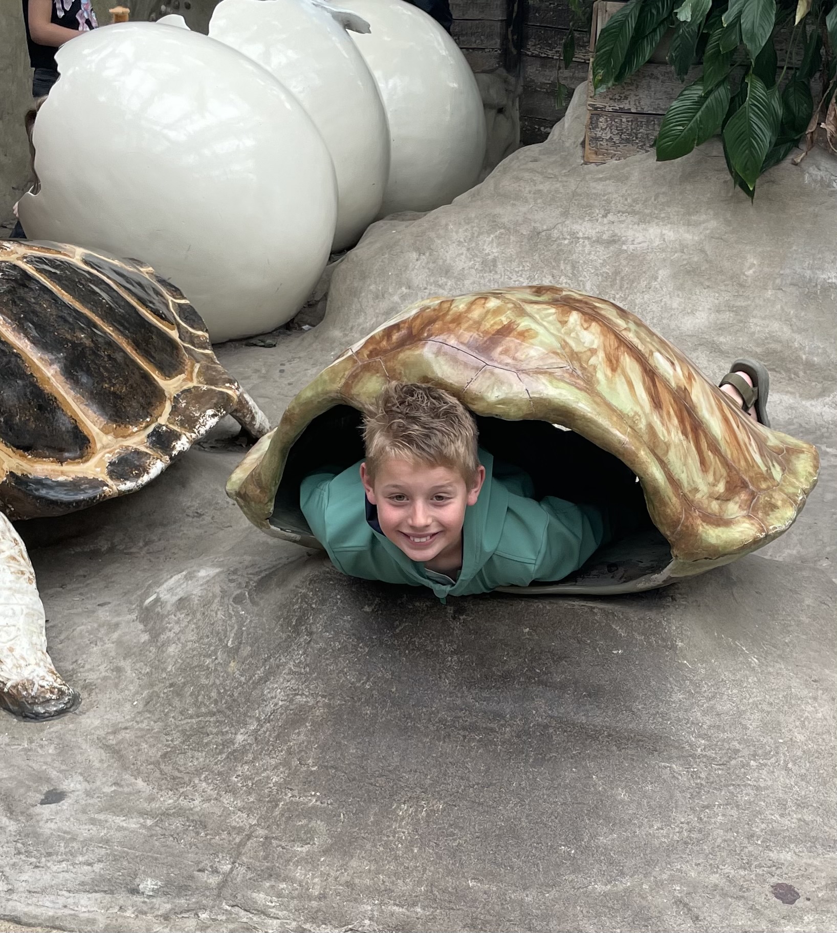 Schildpadliefhebbers 