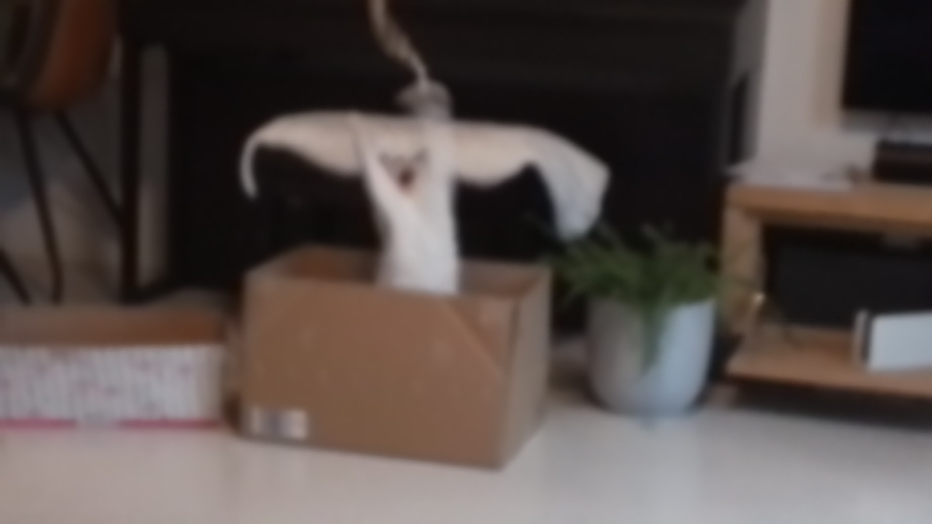 Help de schildpadden