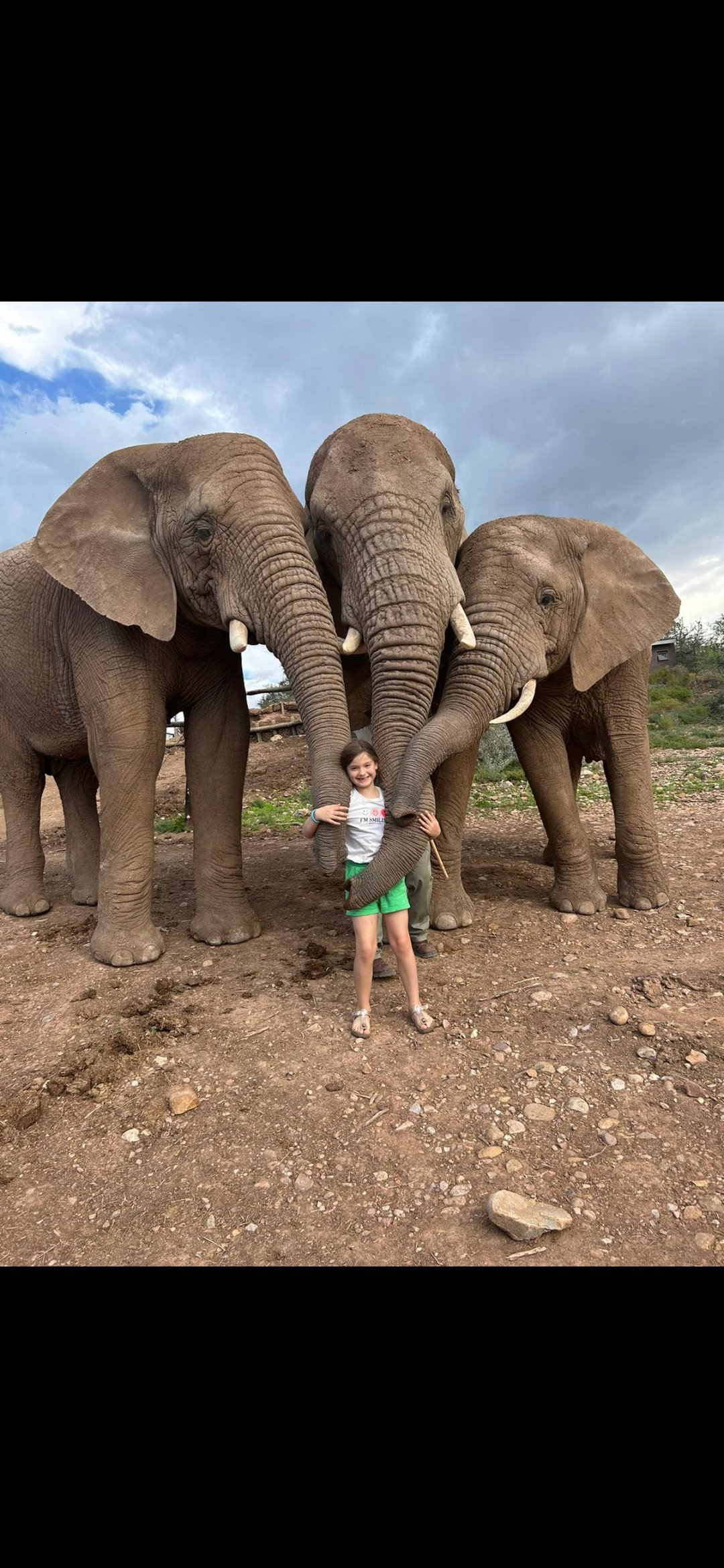 Lotjes expeditie olifant