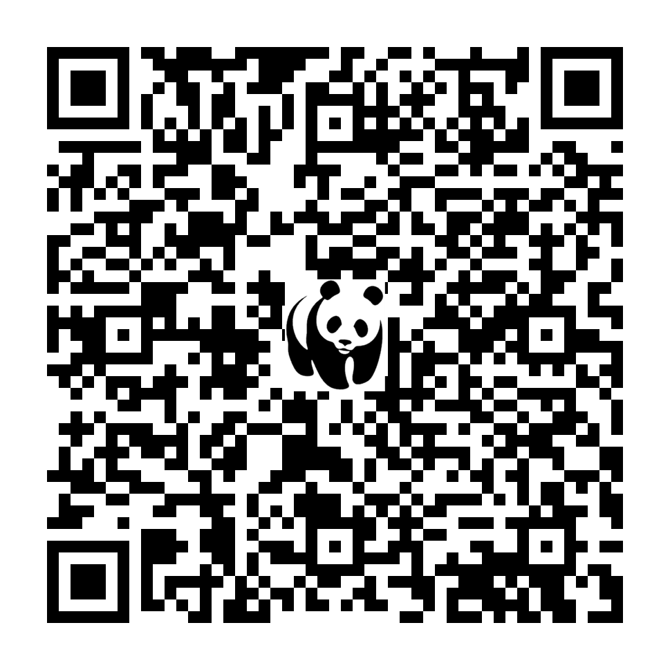 Scan deze QR-code om te doneren (vernieuw de pagina als je geen QR-code ziet)