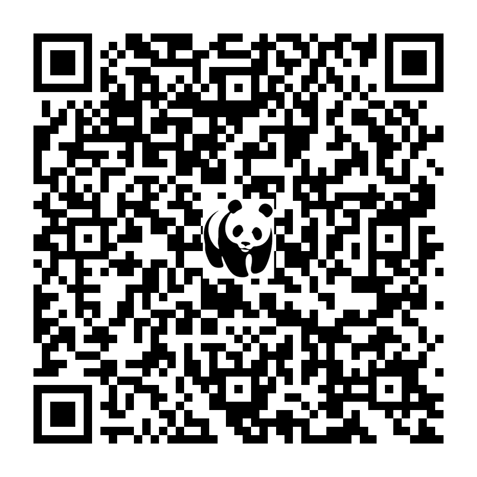 Scan deze QR-code om te doneren (vernieuw de pagina als je geen QR-code ziet)