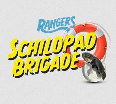 Eldins schilpaden actie