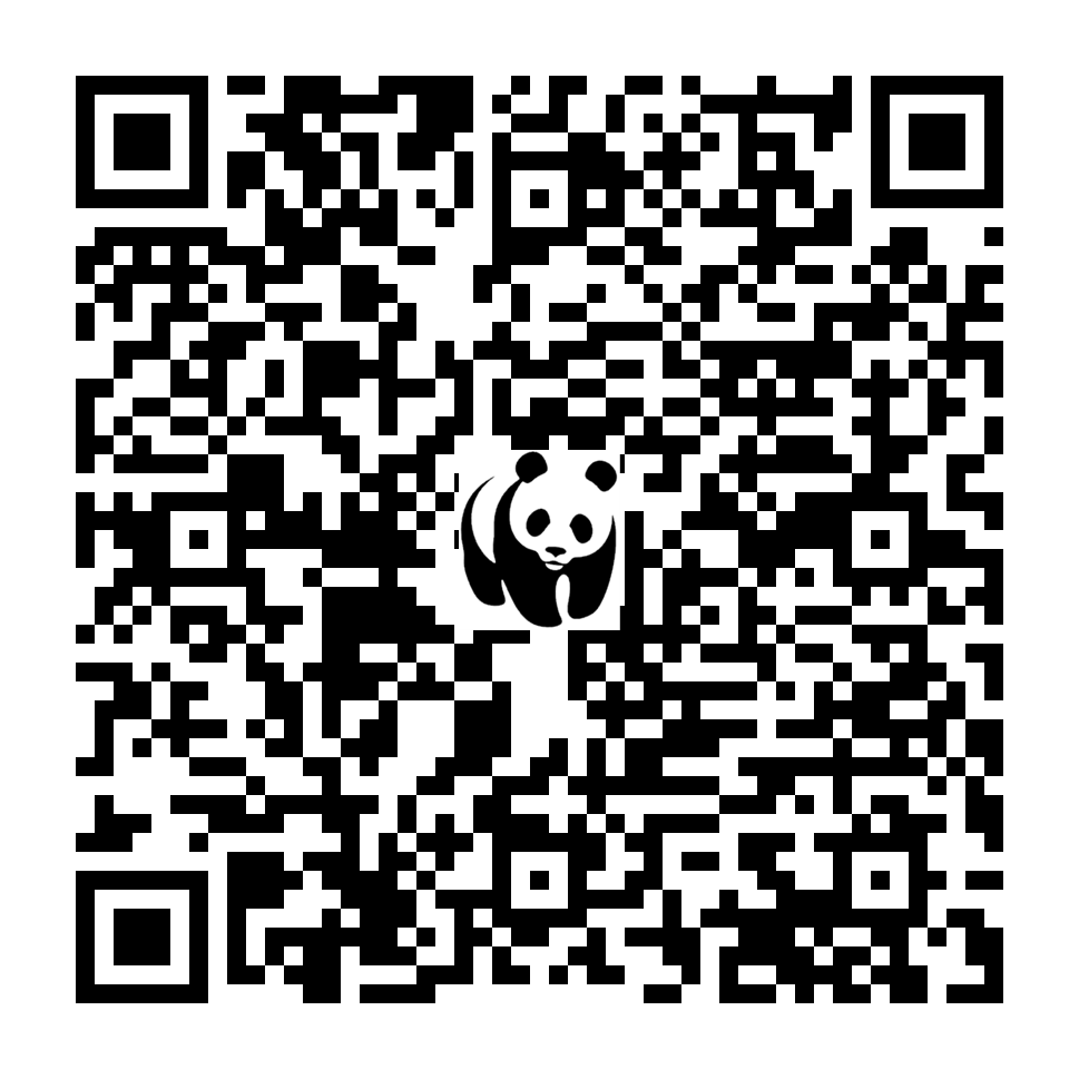 Scan deze QR-code om te doneren (vernieuw de pagina als je geen QR-code ziet)