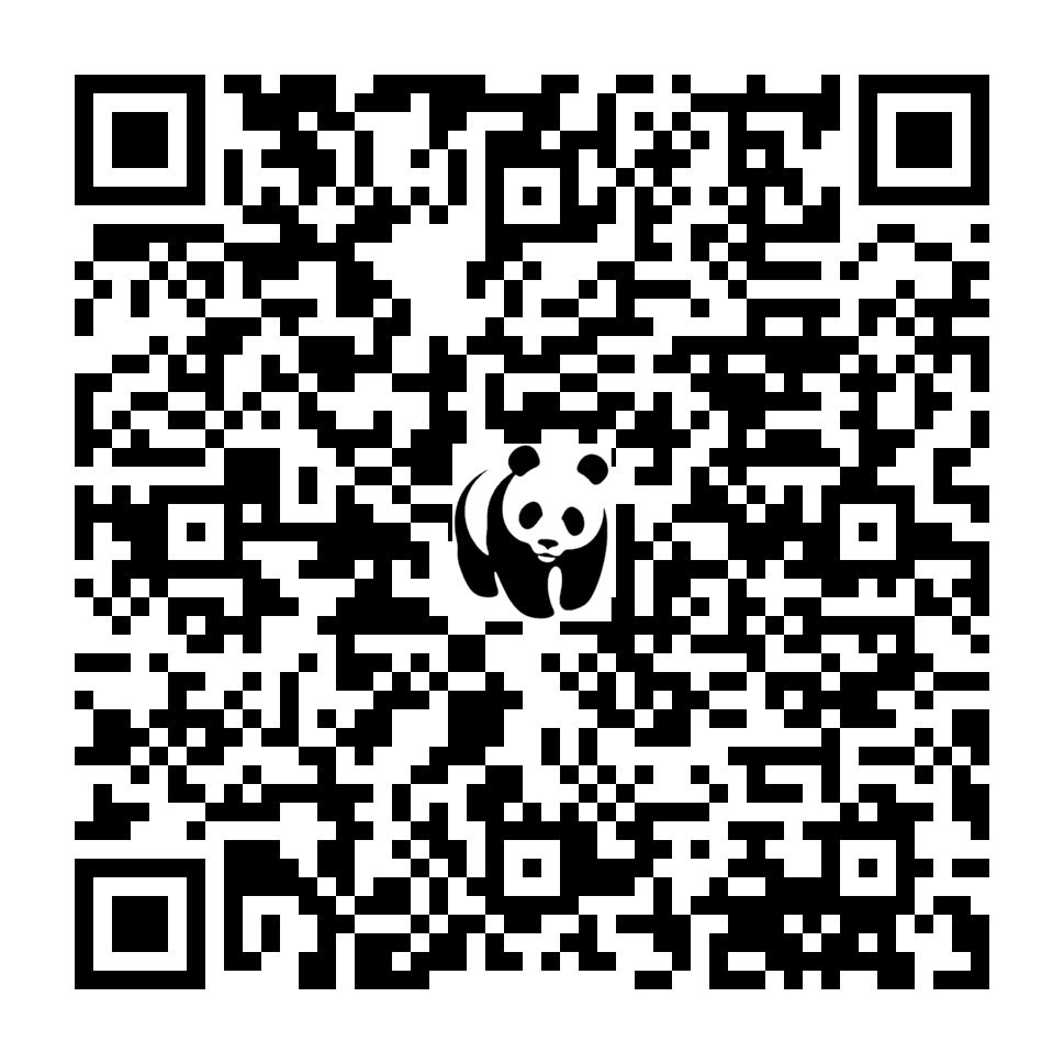 Scan deze QR-code om te doneren (vernieuw de pagina als je geen QR-code ziet)
