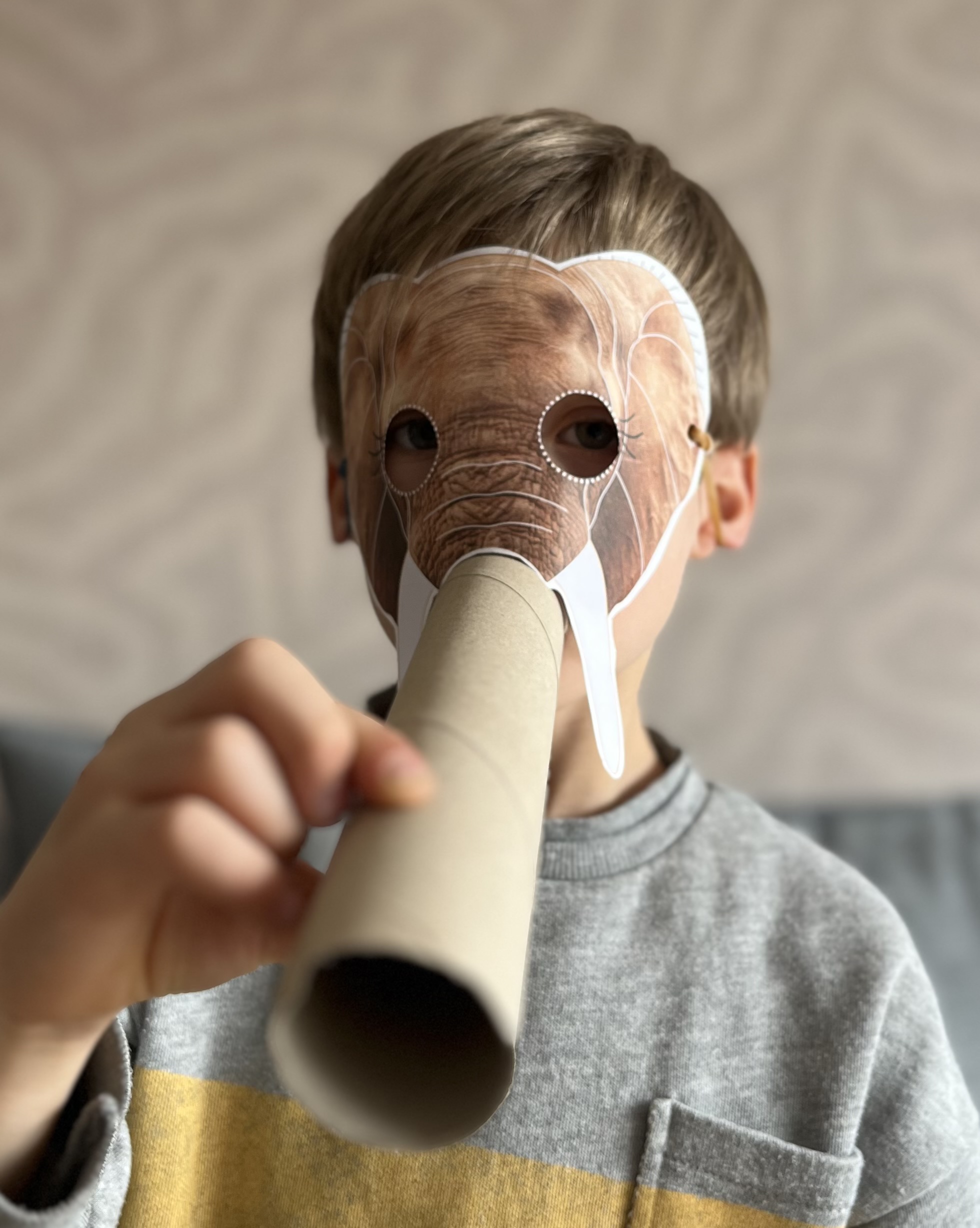 Maxim helpt de bosolifant