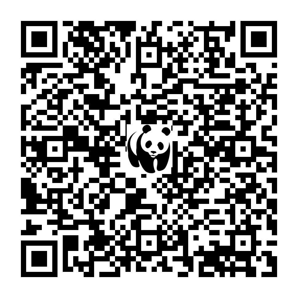 Scan deze QR-code om te doneren (vernieuw de pagina als je geen QR-code ziet)