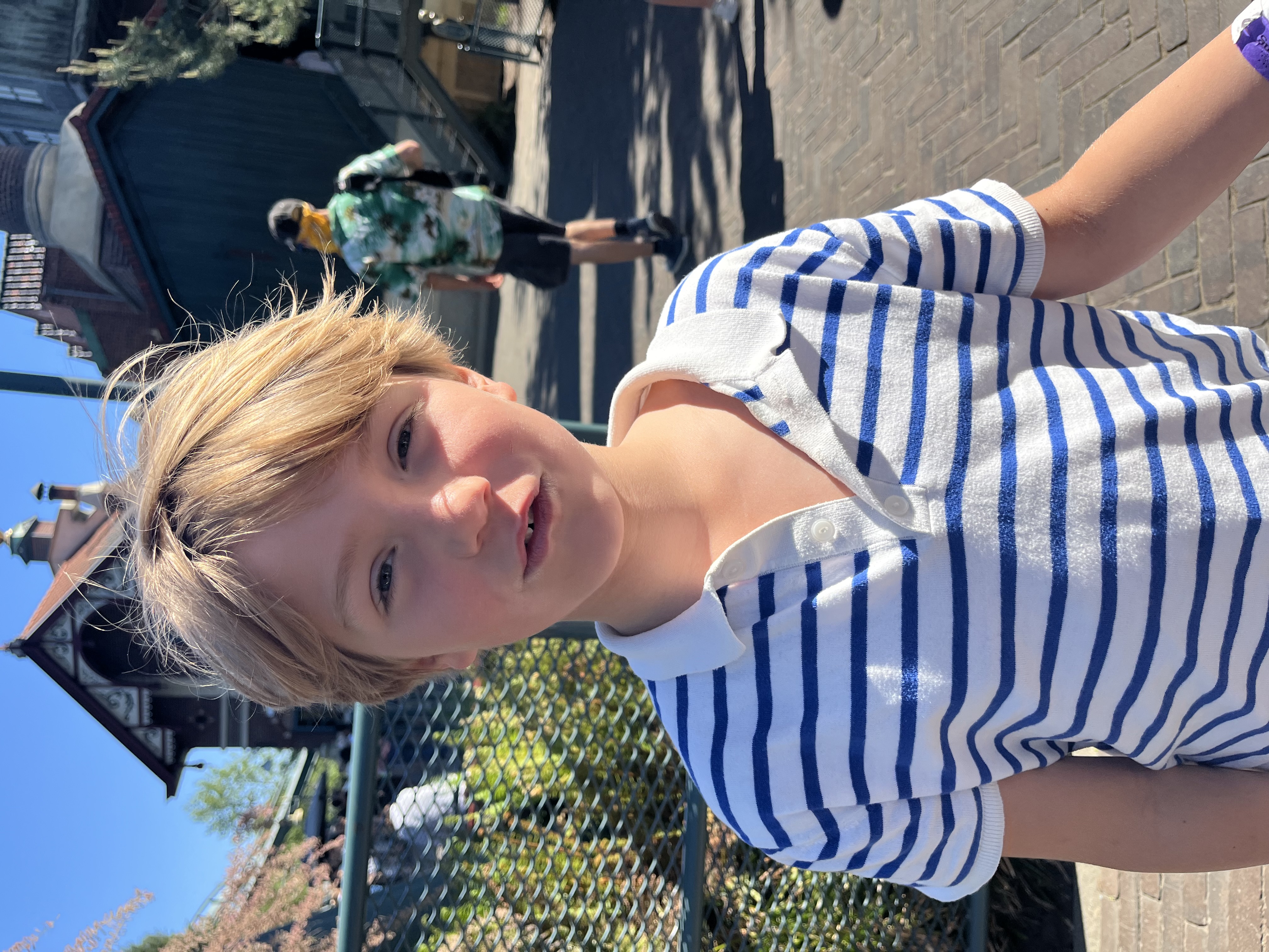 Muziek voor de schildpad