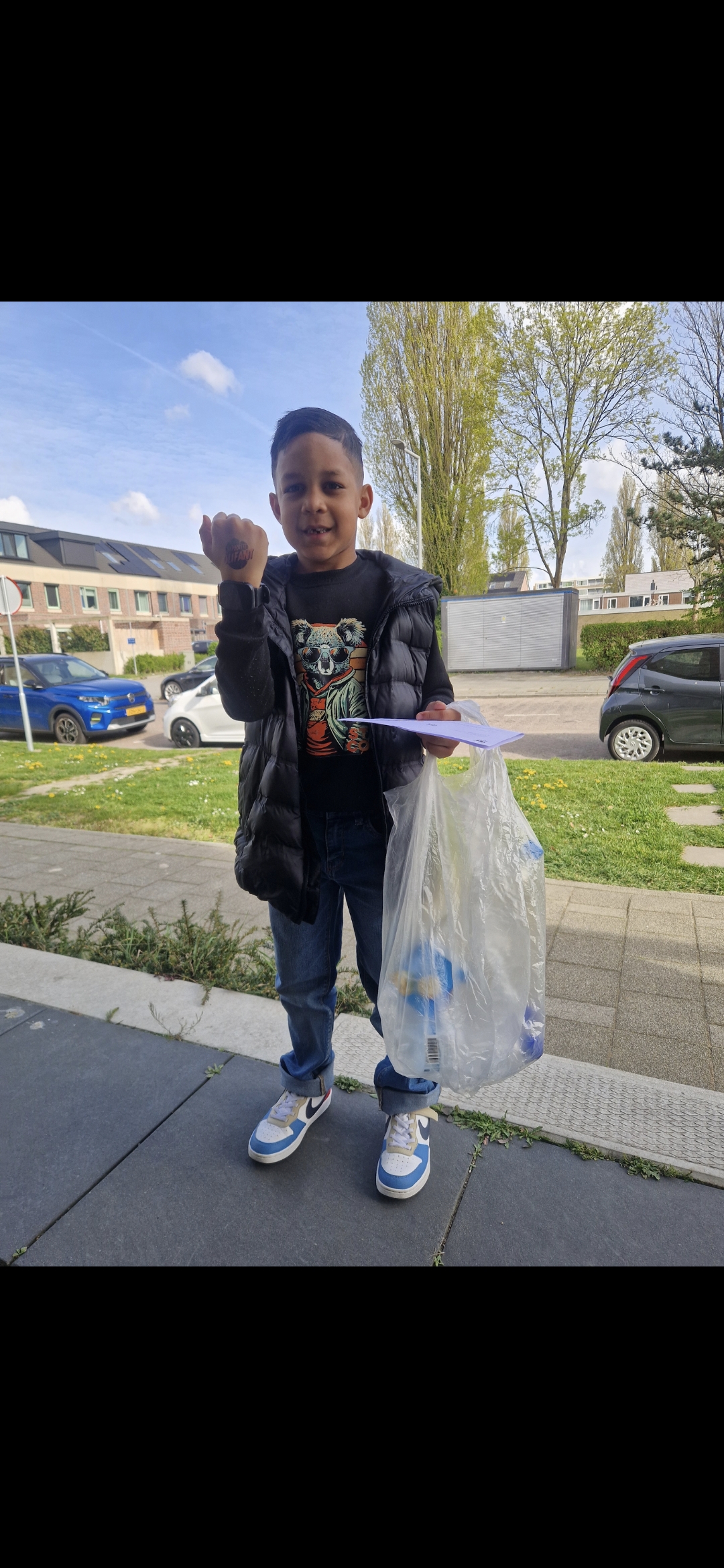 Raphael voor de olifanten