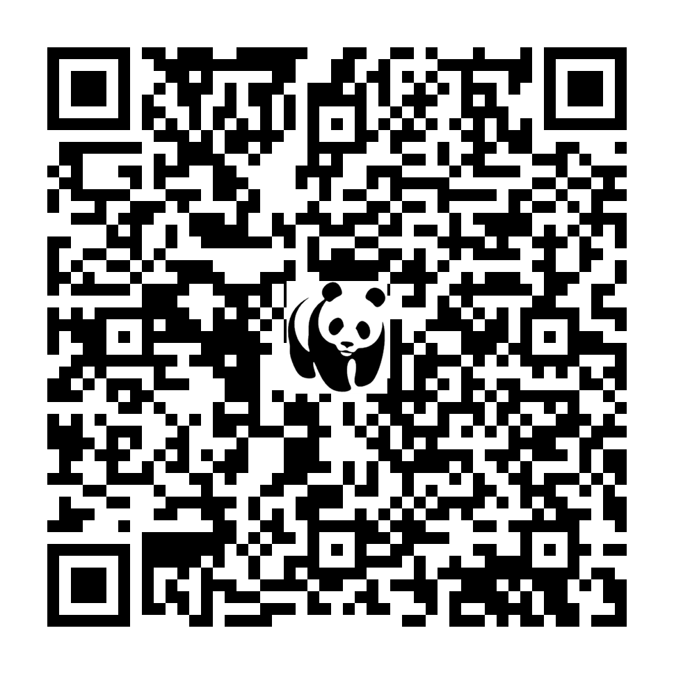 Scan deze QR-code om te doneren (vernieuw de pagina als je geen QR-code ziet)