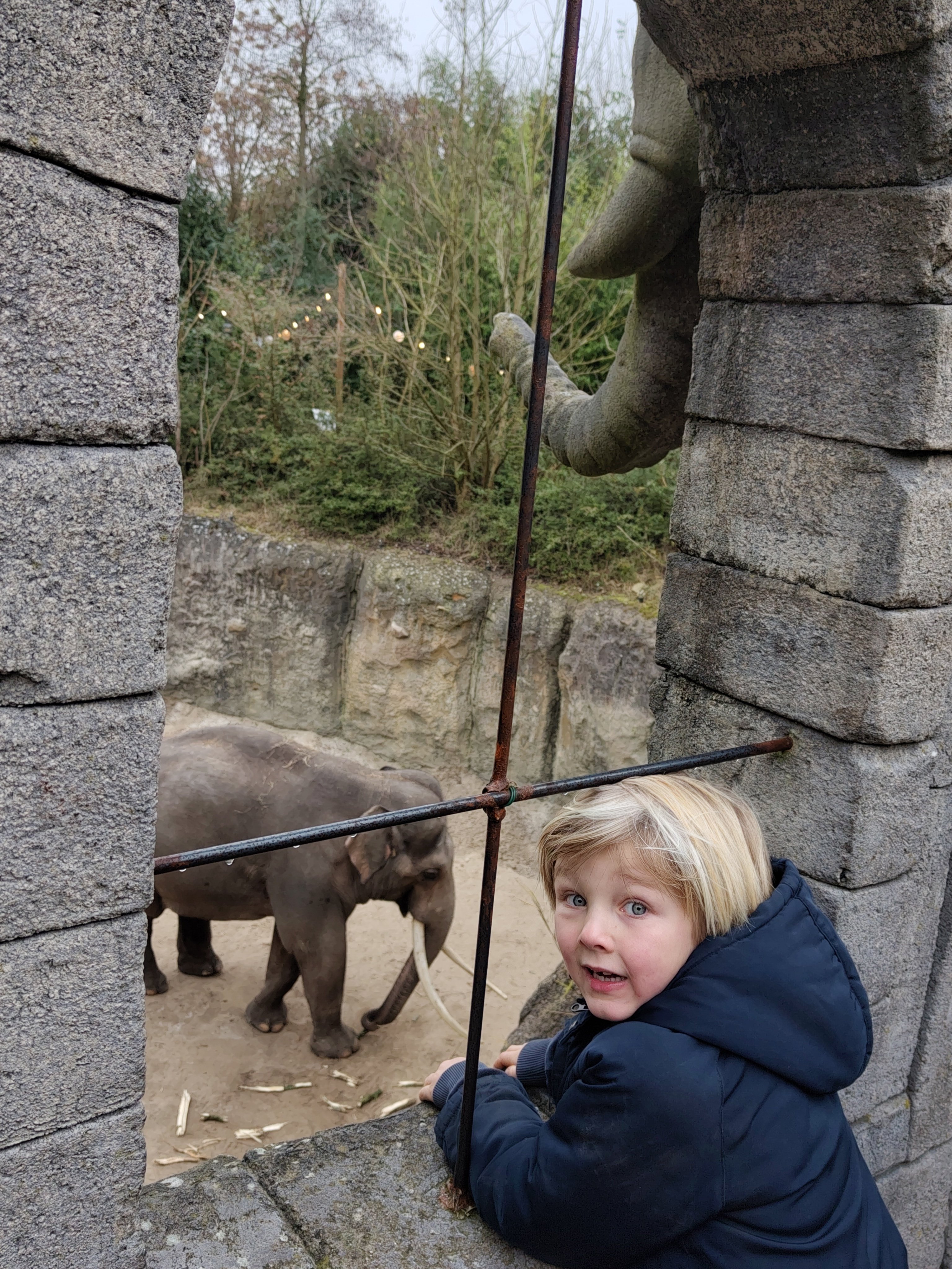 de olifantastische actie