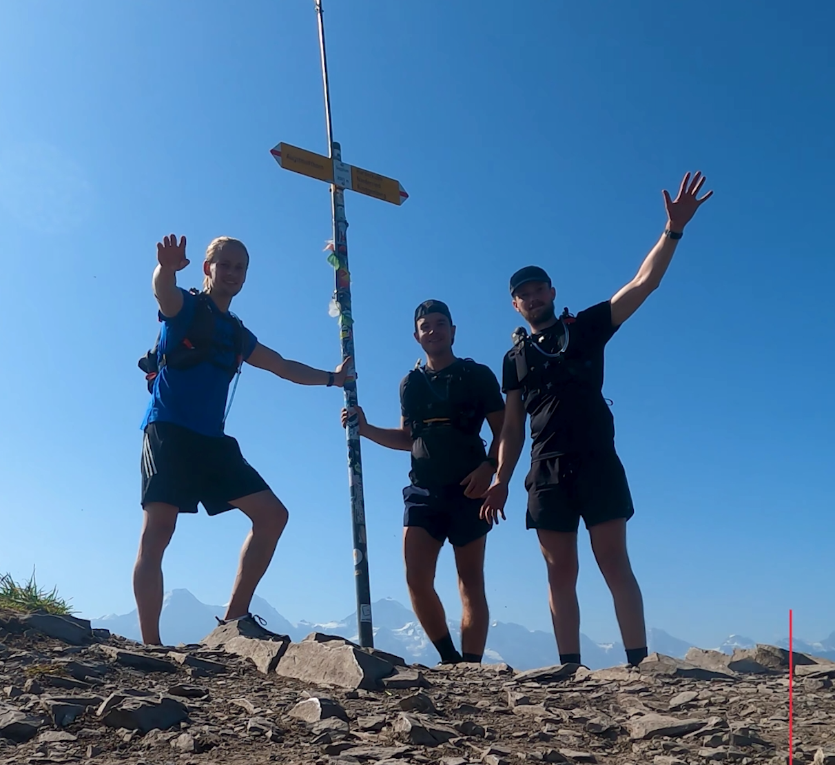 2x100K Beuken voor Bossen