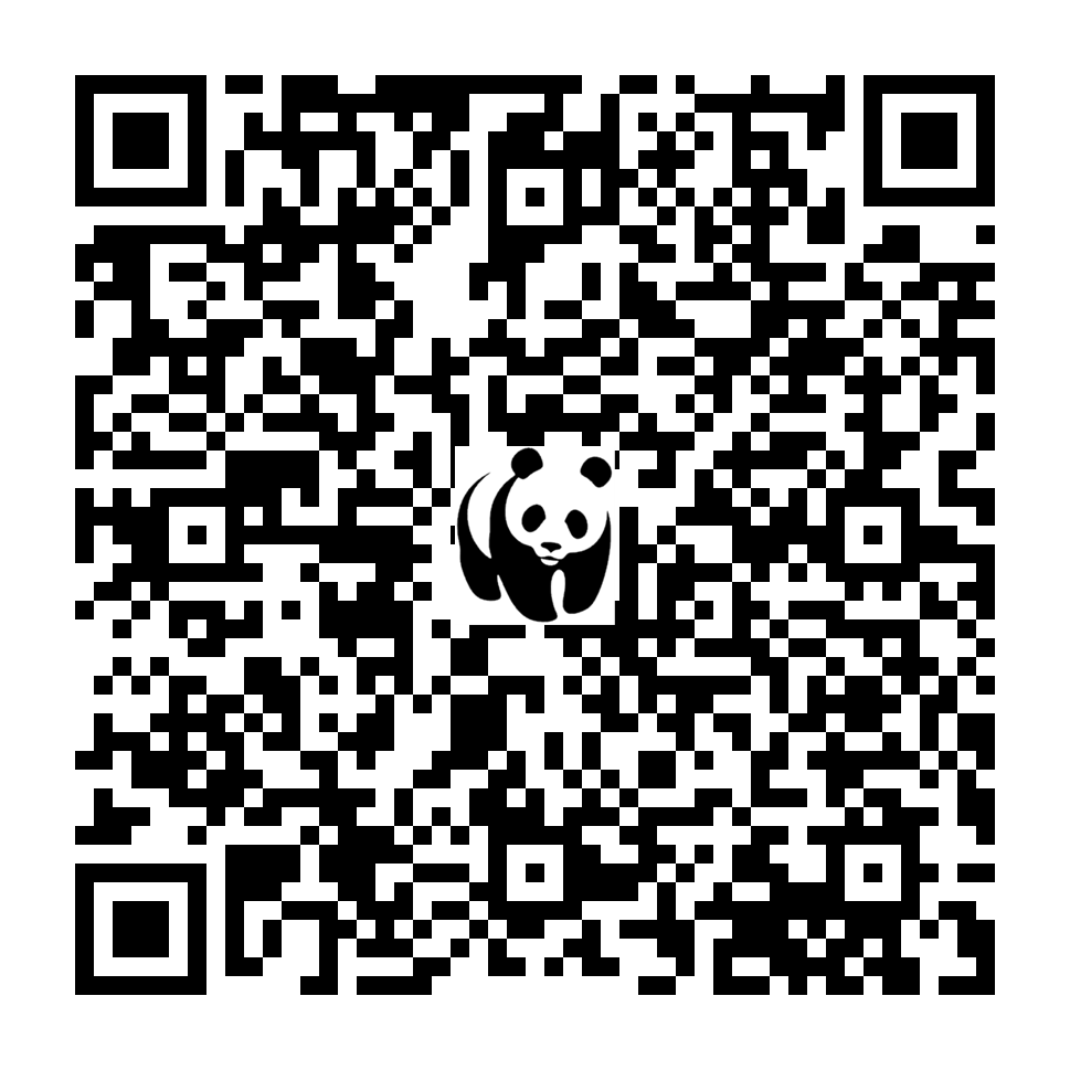 Scan deze QR-code om te doneren (vernieuw de pagina als je geen QR-code ziet)